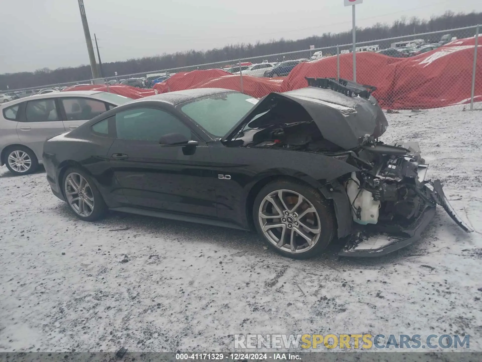 12 Фотография поврежденного автомобиля 1FA6P8CF0K5141232 FORD MUSTANG 2019