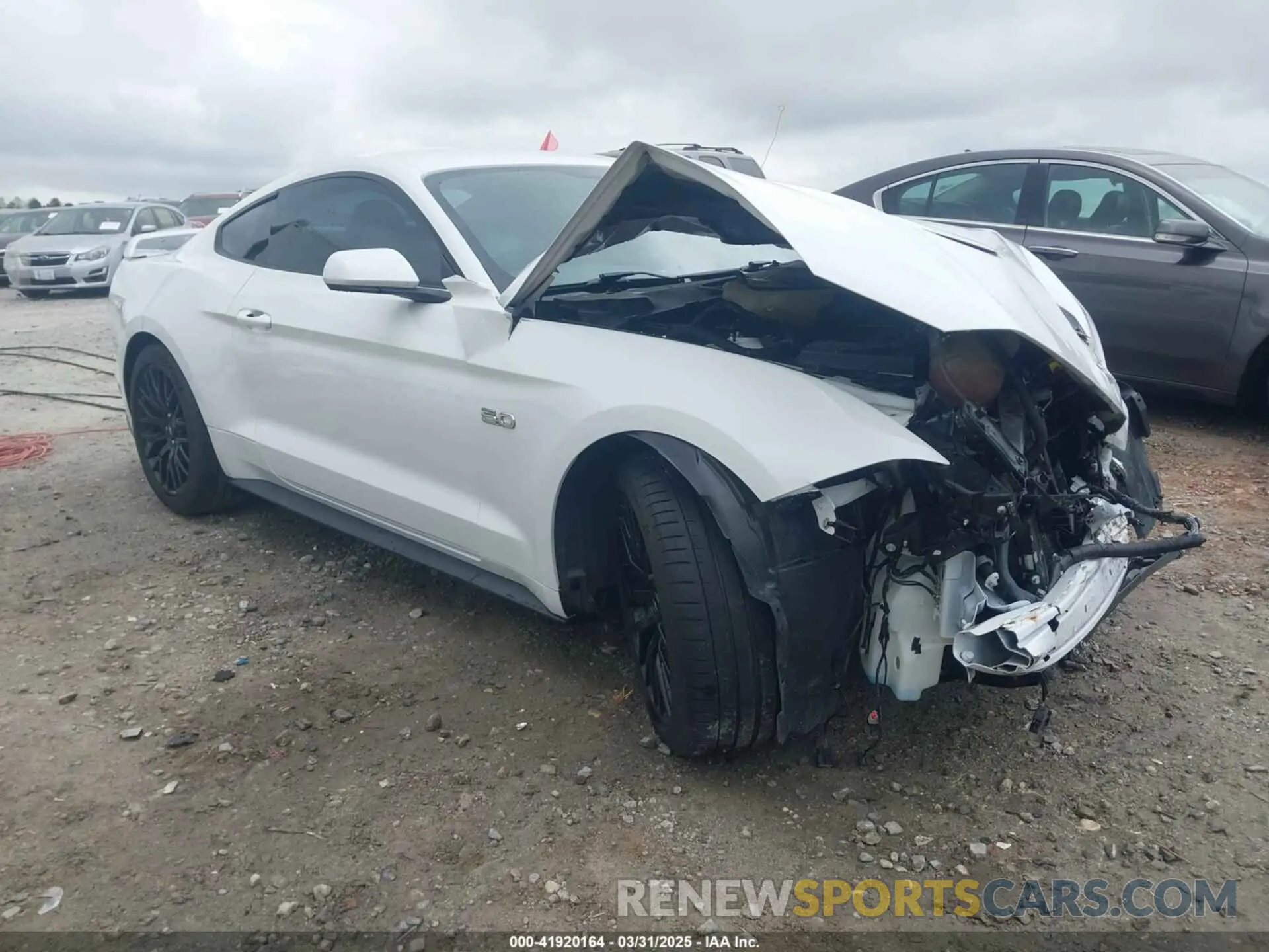 1 Фотография поврежденного автомобиля 1FA6P8CF0K5141652 FORD MUSTANG 2019