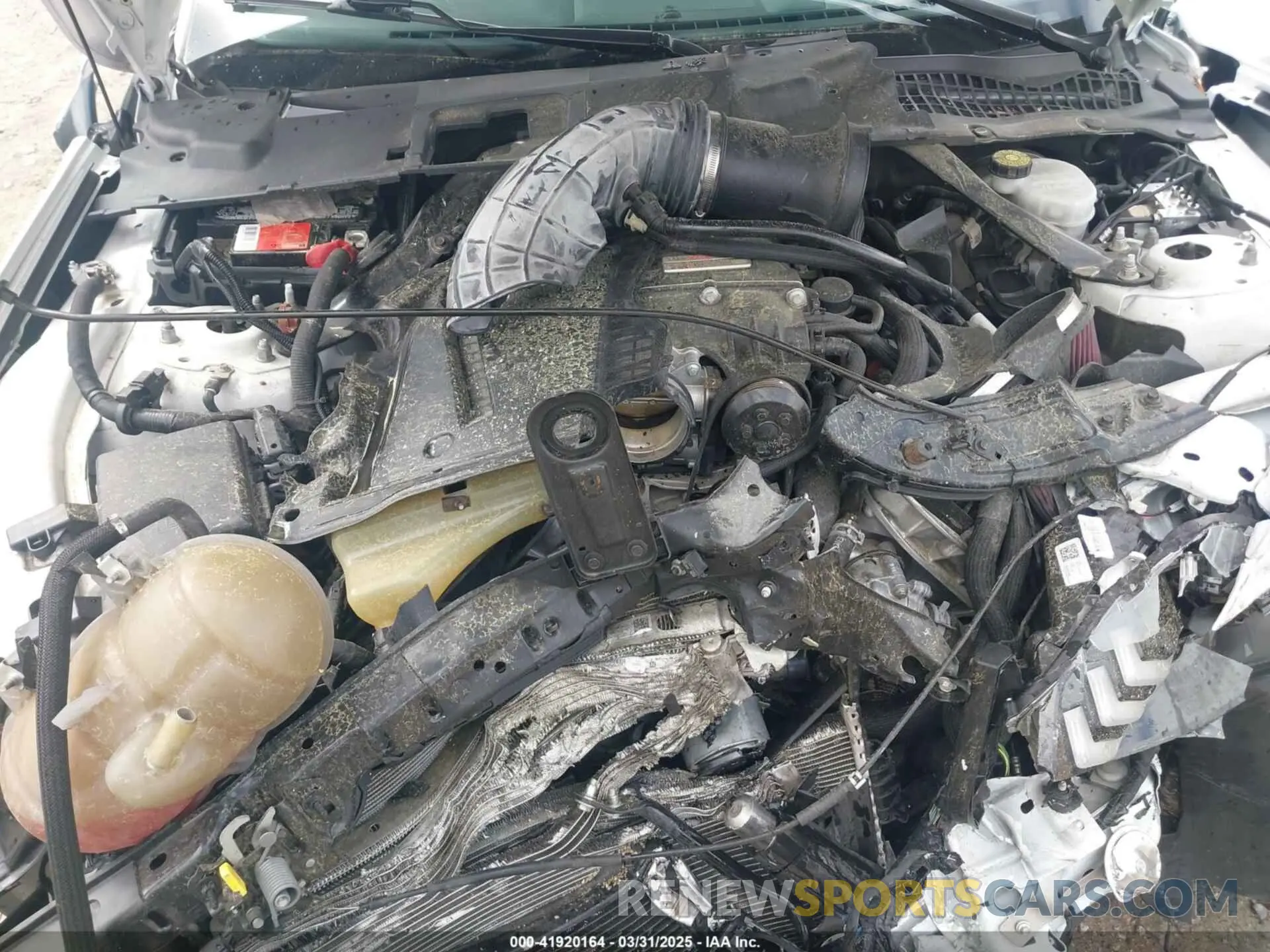 10 Фотография поврежденного автомобиля 1FA6P8CF0K5141652 FORD MUSTANG 2019