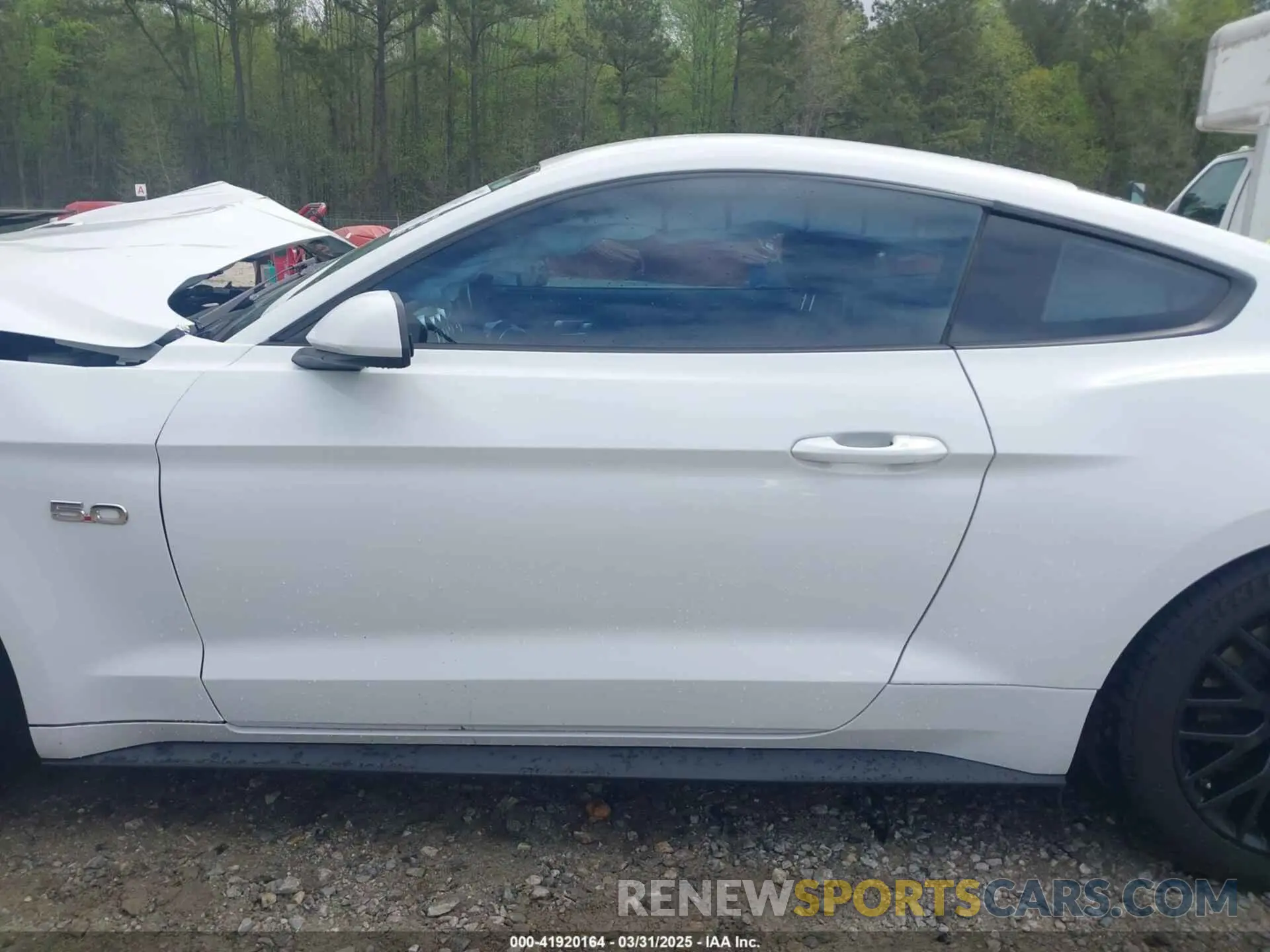 15 Фотография поврежденного автомобиля 1FA6P8CF0K5141652 FORD MUSTANG 2019