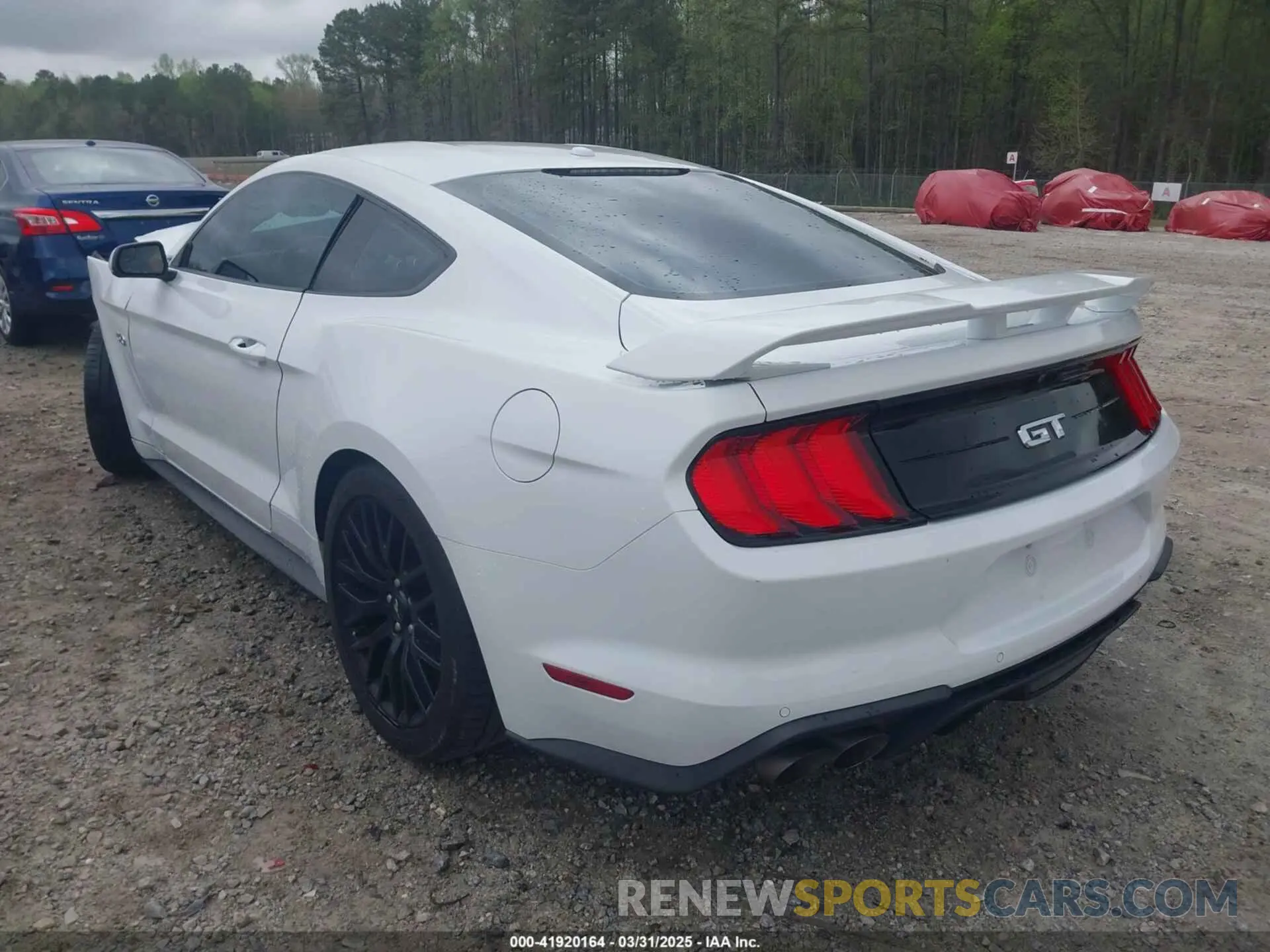 3 Фотография поврежденного автомобиля 1FA6P8CF0K5141652 FORD MUSTANG 2019