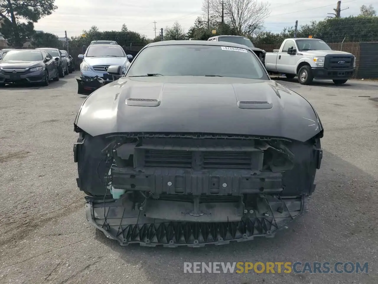 5 Photograph of a damaged car 1FA6P8CF1K5118865 FORD MUSTANG 2019