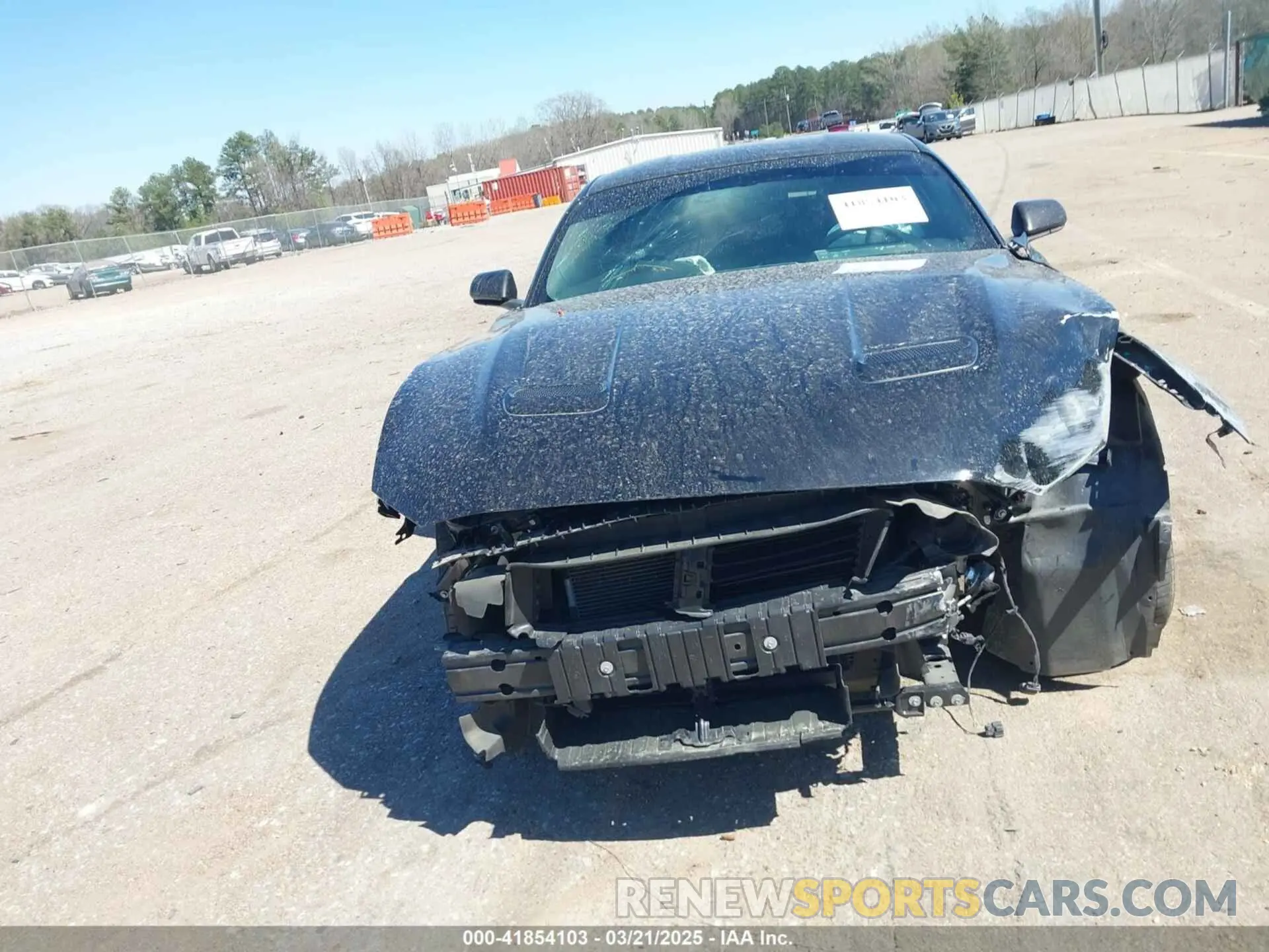 13 Photograph of a damaged car 1FA6P8CF1K5146942 FORD MUSTANG 2019