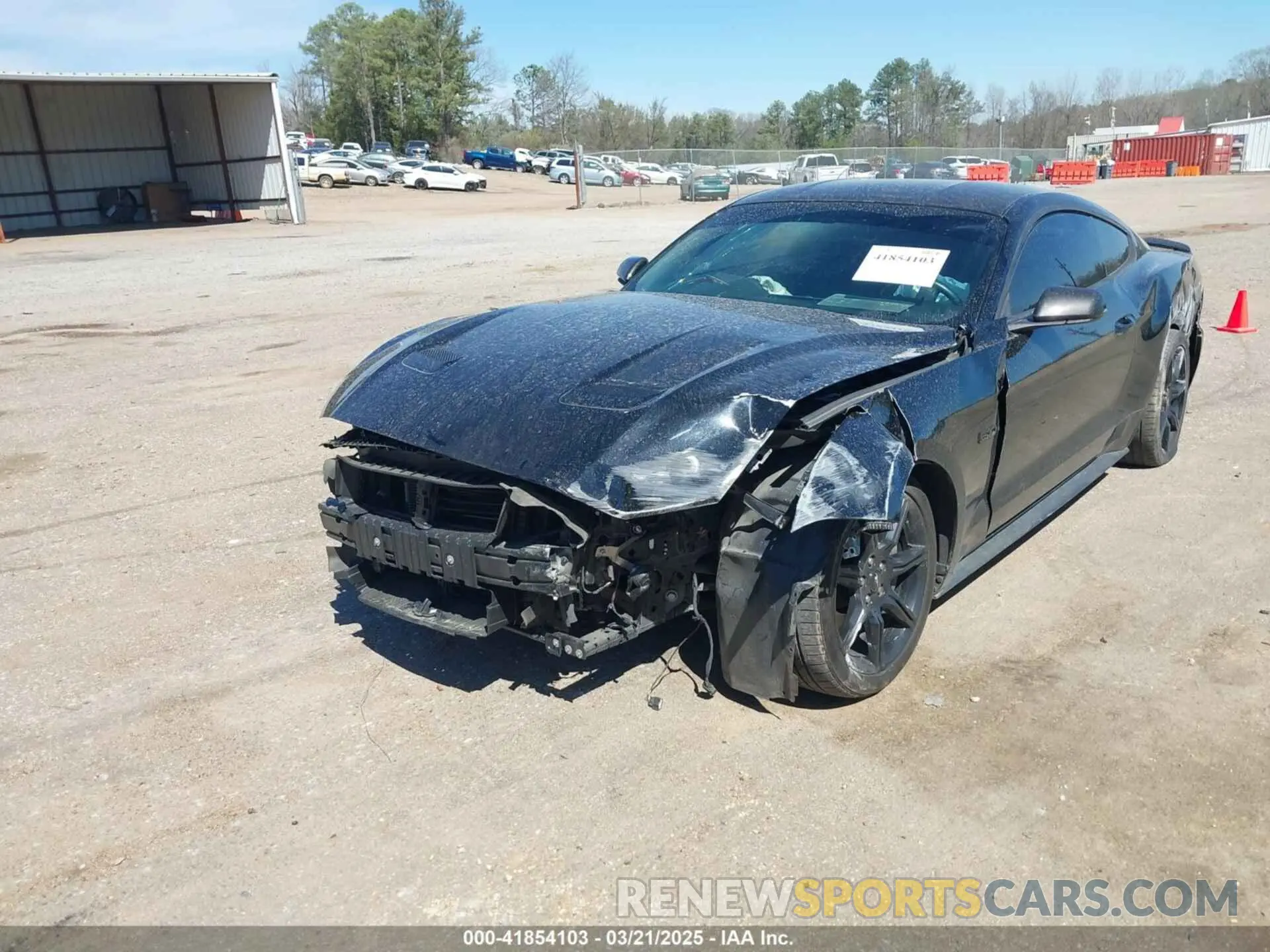 19 Photograph of a damaged car 1FA6P8CF1K5146942 FORD MUSTANG 2019