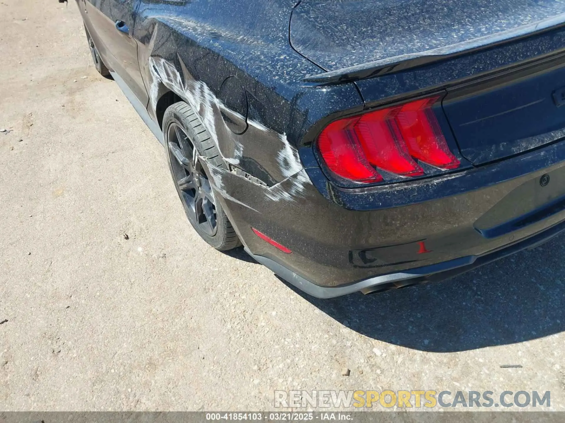 21 Photograph of a damaged car 1FA6P8CF1K5146942 FORD MUSTANG 2019