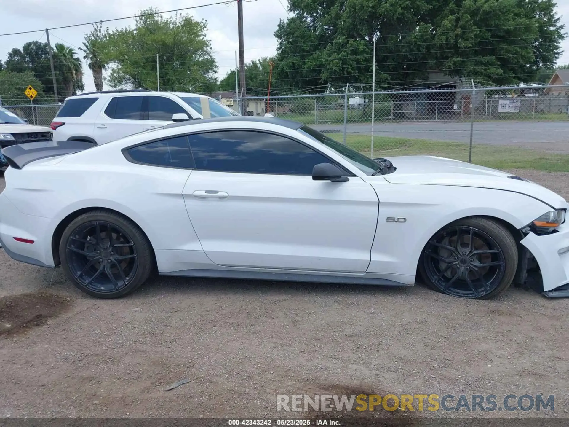 14 Photograph of a damaged car 1FA6P8CF1K5192822 FORD MUSTANG 2019