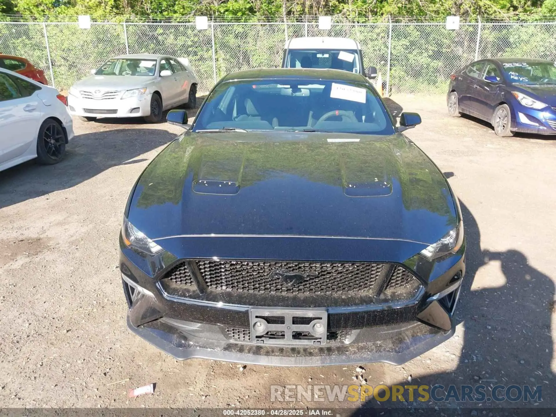 12 Photograph of a damaged car 1FA6P8CF2K5108720 FORD MUSTANG 2019