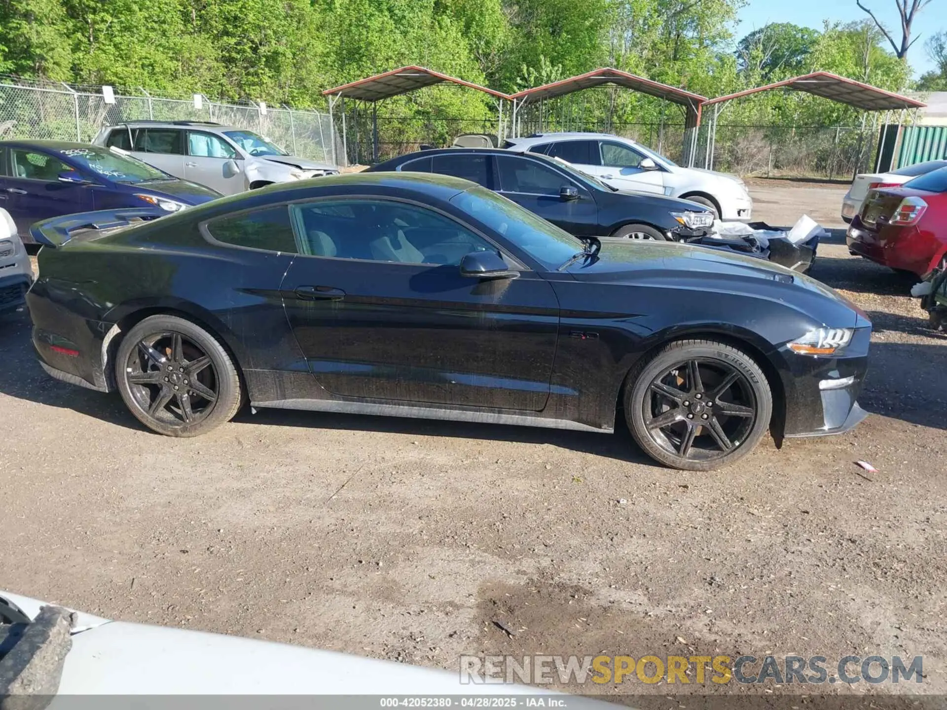 13 Photograph of a damaged car 1FA6P8CF2K5108720 FORD MUSTANG 2019