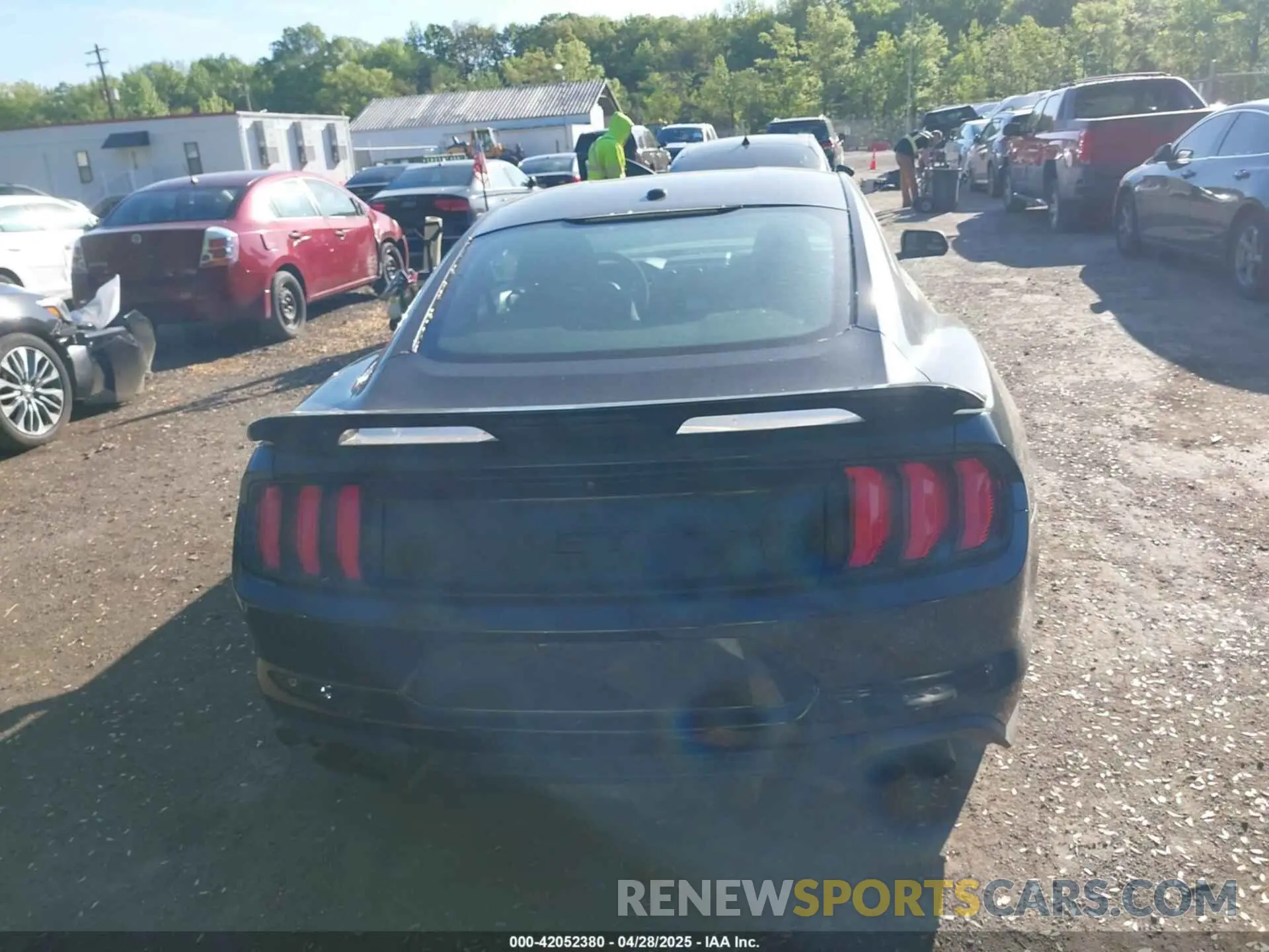 16 Photograph of a damaged car 1FA6P8CF2K5108720 FORD MUSTANG 2019