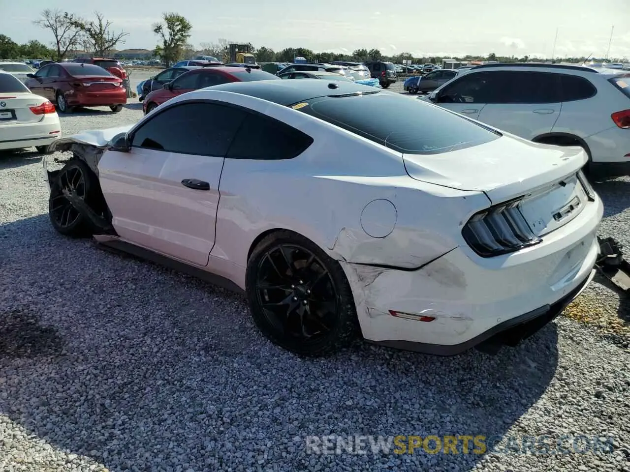 2 Photograph of a damaged car 1FA6P8CF3K5101842 FORD MUSTANG 2019