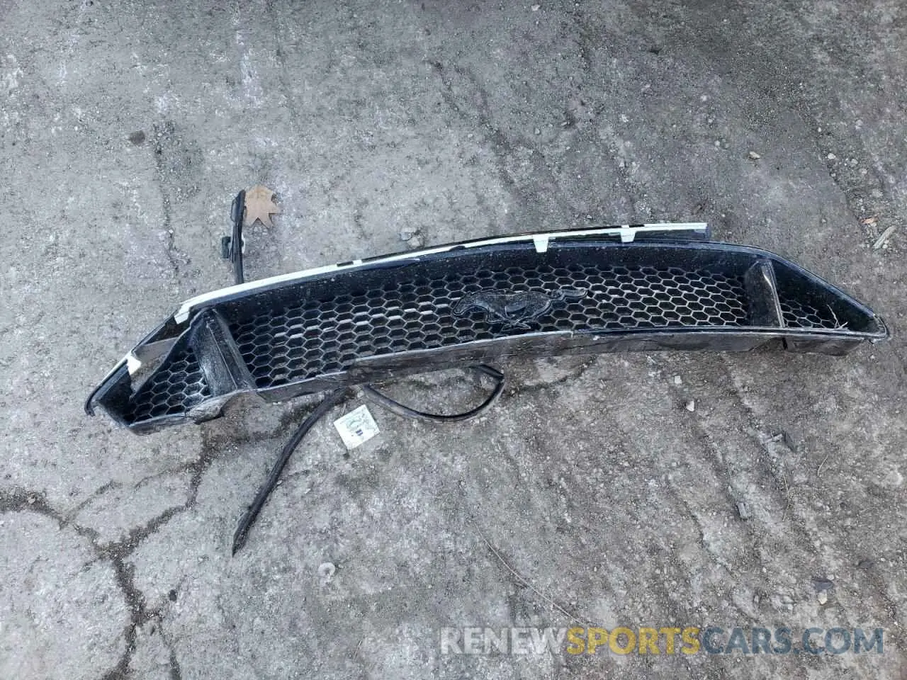12 Photograph of a damaged car 1FA6P8CF3K5115062 FORD MUSTANG 2019