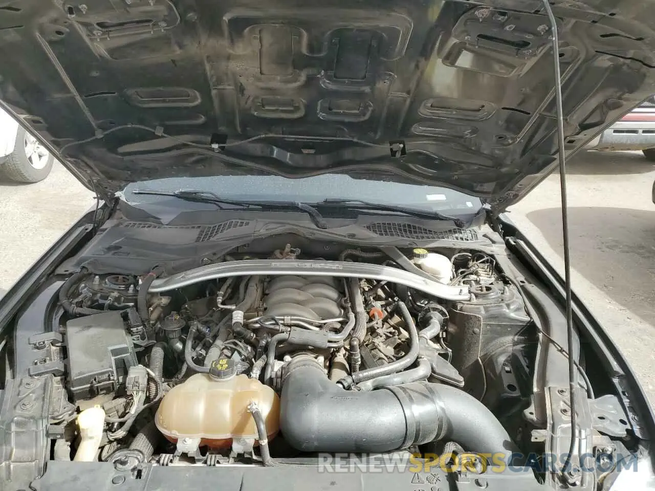 11 Фотография поврежденного автомобиля 1FA6P8CF3K5130158 FORD MUSTANG 2019