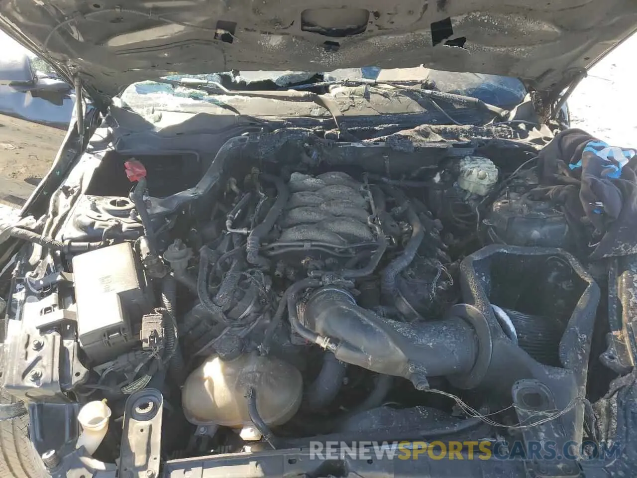 12 Photograph of a damaged car 1FA6P8CF3K5191560 FORD MUSTANG 2019