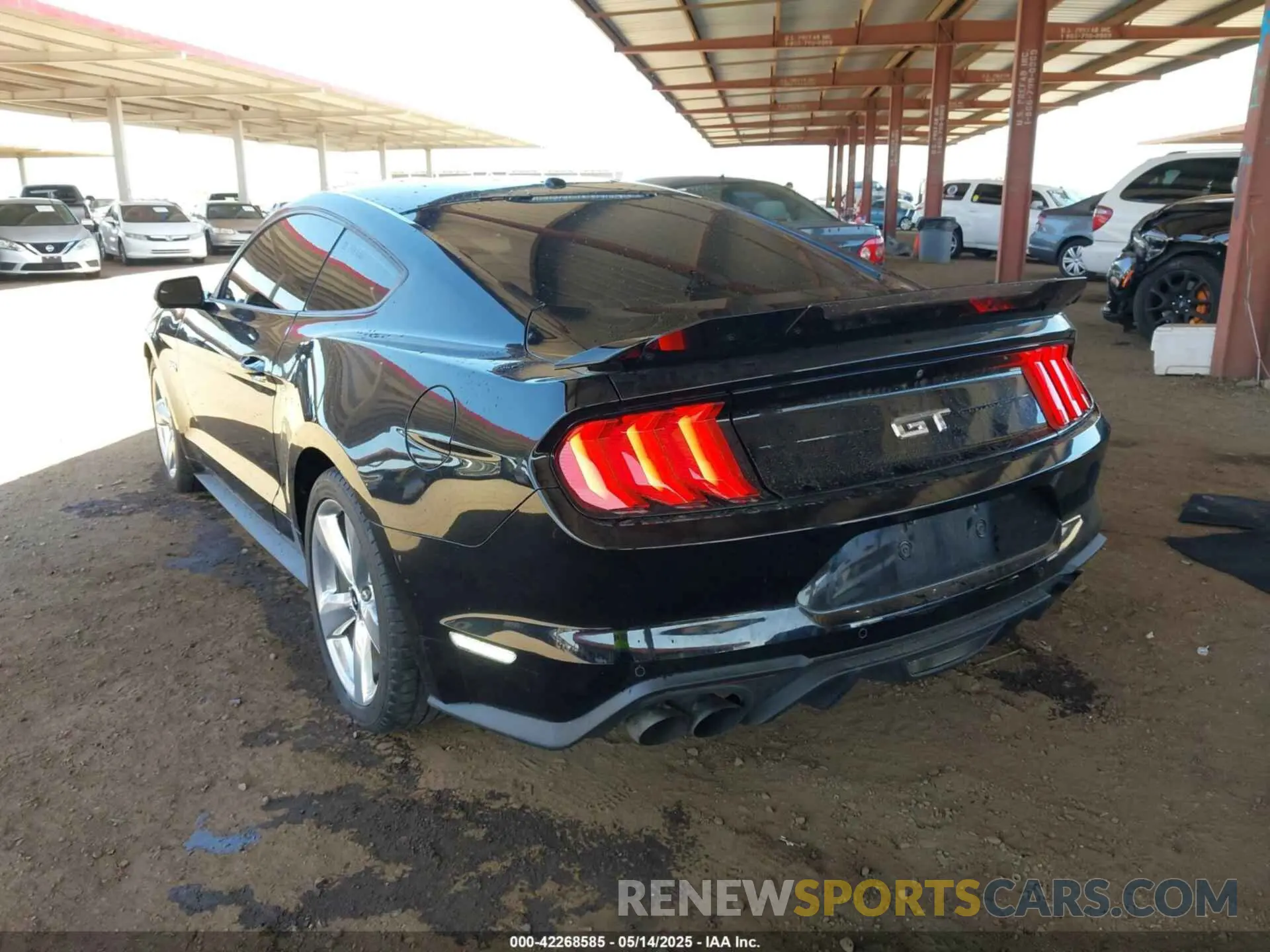3 Фотография поврежденного автомобиля 1FA6P8CF4K5120688 FORD MUSTANG 2019