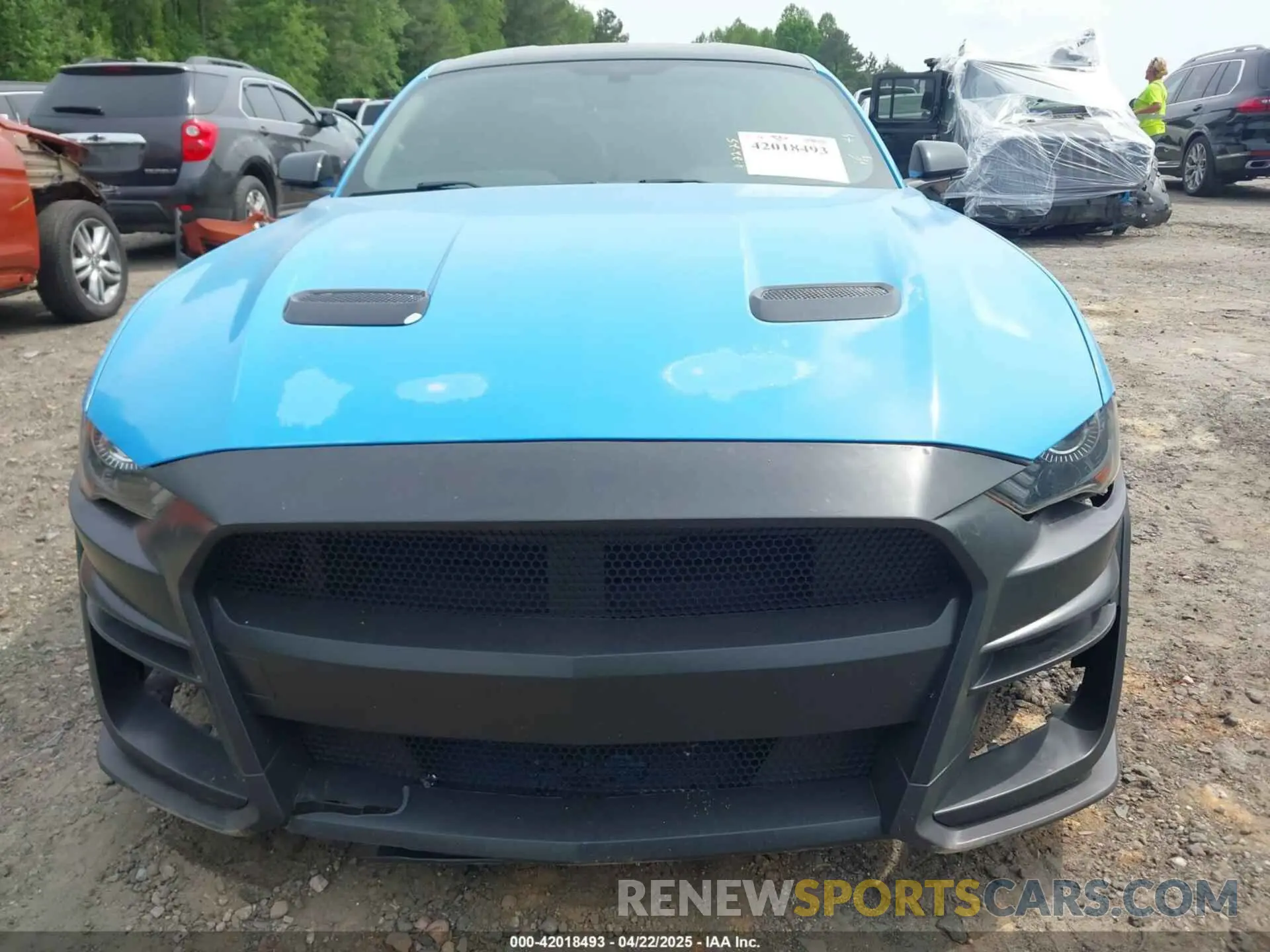13 Фотография поврежденного автомобиля 1FA6P8CF4K5144134 FORD MUSTANG 2019
