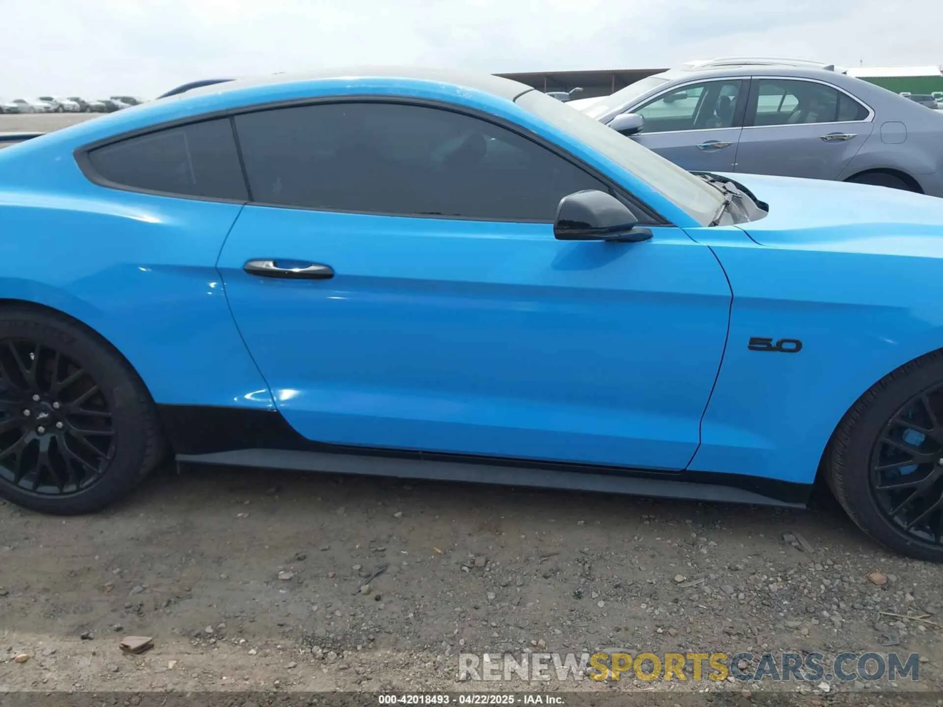 14 Фотография поврежденного автомобиля 1FA6P8CF4K5144134 FORD MUSTANG 2019