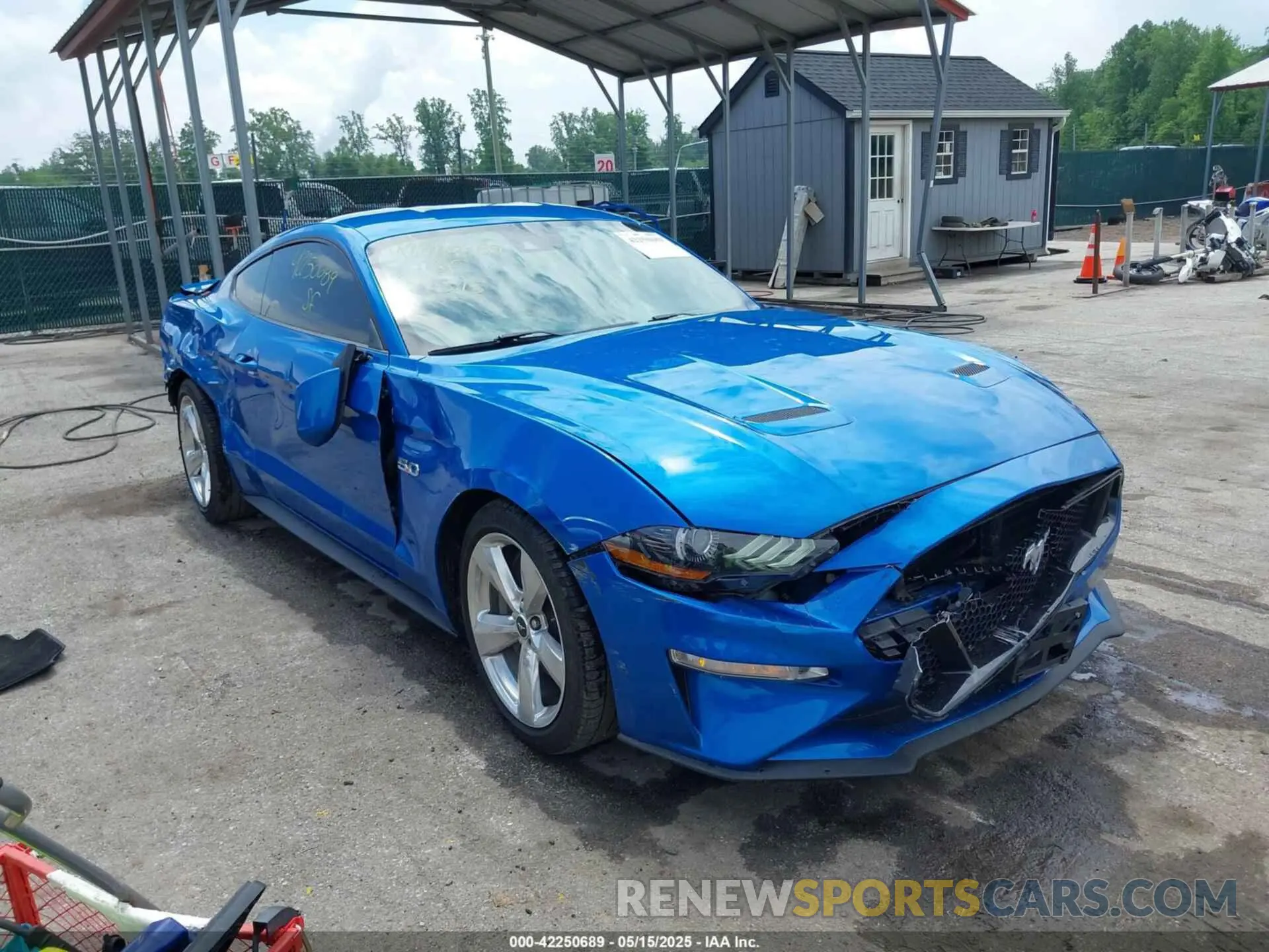 1 Фотография поврежденного автомобиля 1FA6P8CF4K5180728 FORD MUSTANG 2019