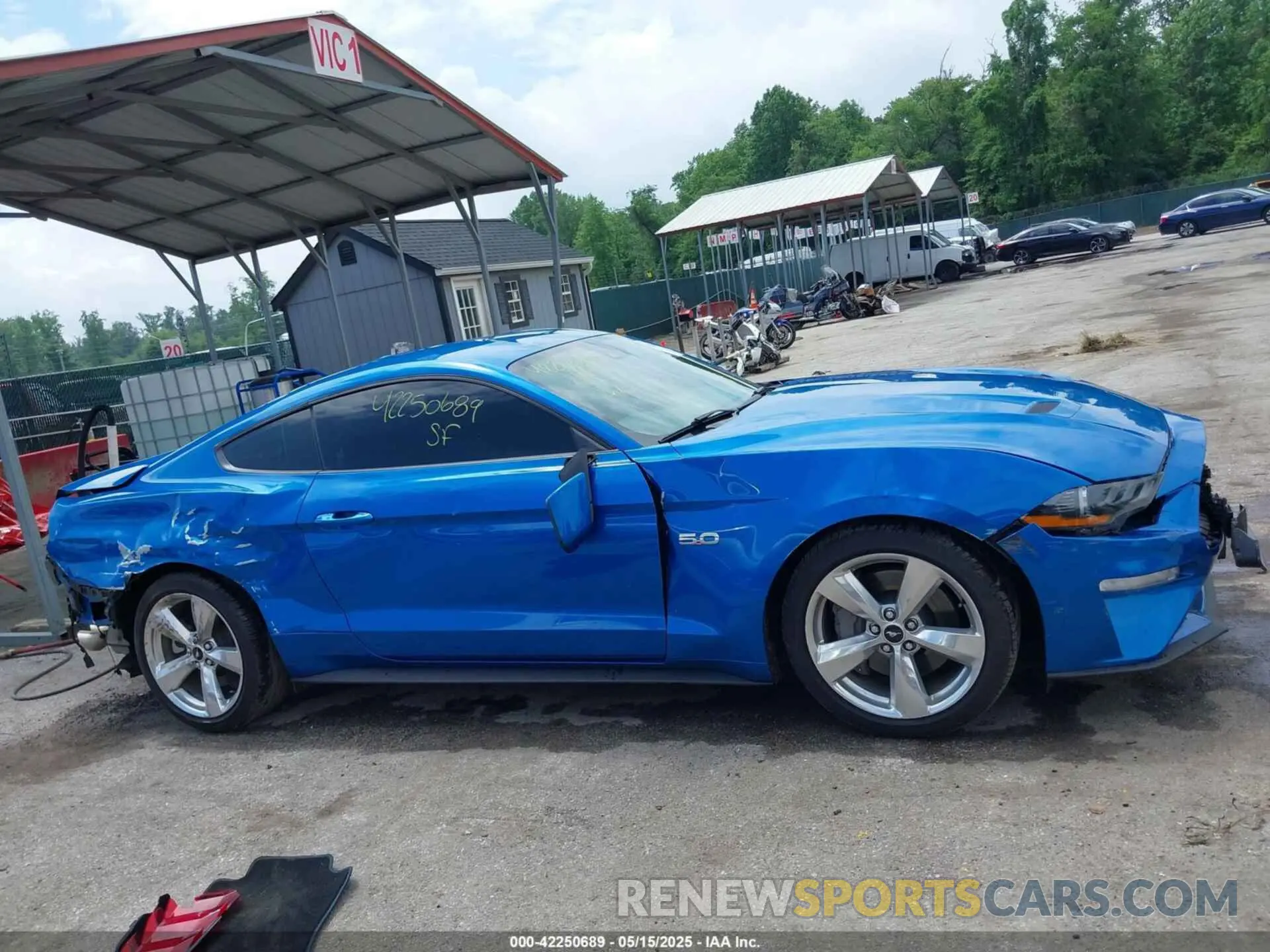 13 Фотография поврежденного автомобиля 1FA6P8CF4K5180728 FORD MUSTANG 2019