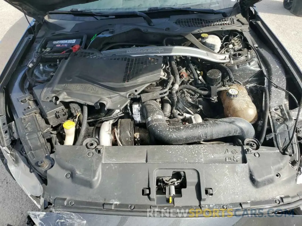 11 Photograph of a damaged car 1FA6P8CF4K5184455 FORD MUSTANG 2019