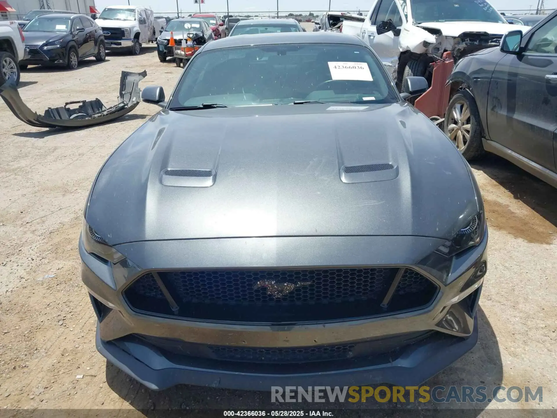 13 Photograph of a damaged car 1FA6P8CF5K5125267 FORD MUSTANG 2019