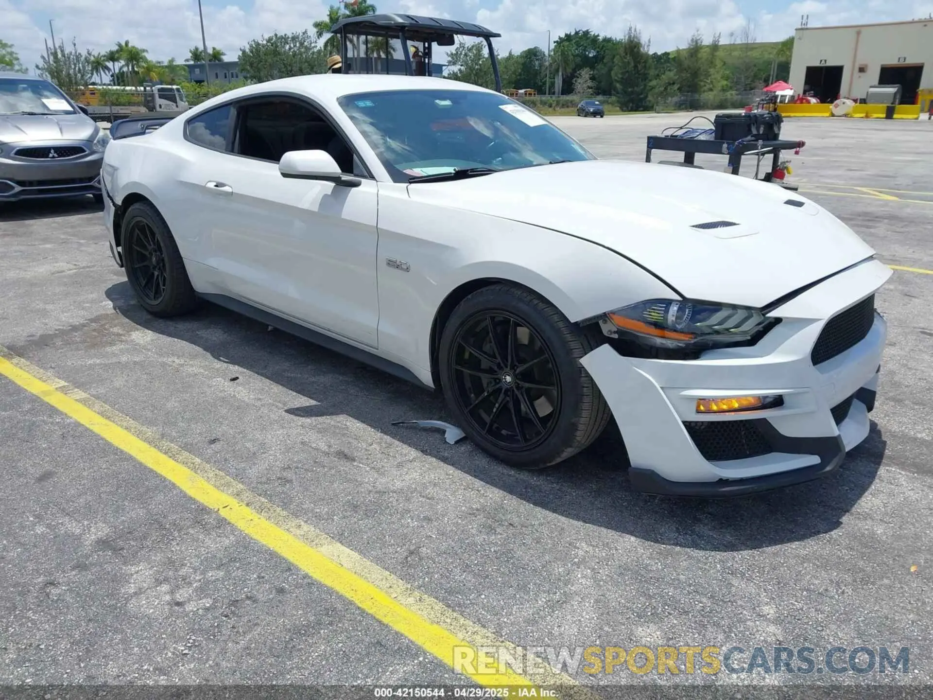 1 Фотография поврежденного автомобиля 1FA6P8CF6K5121986 FORD MUSTANG 2019