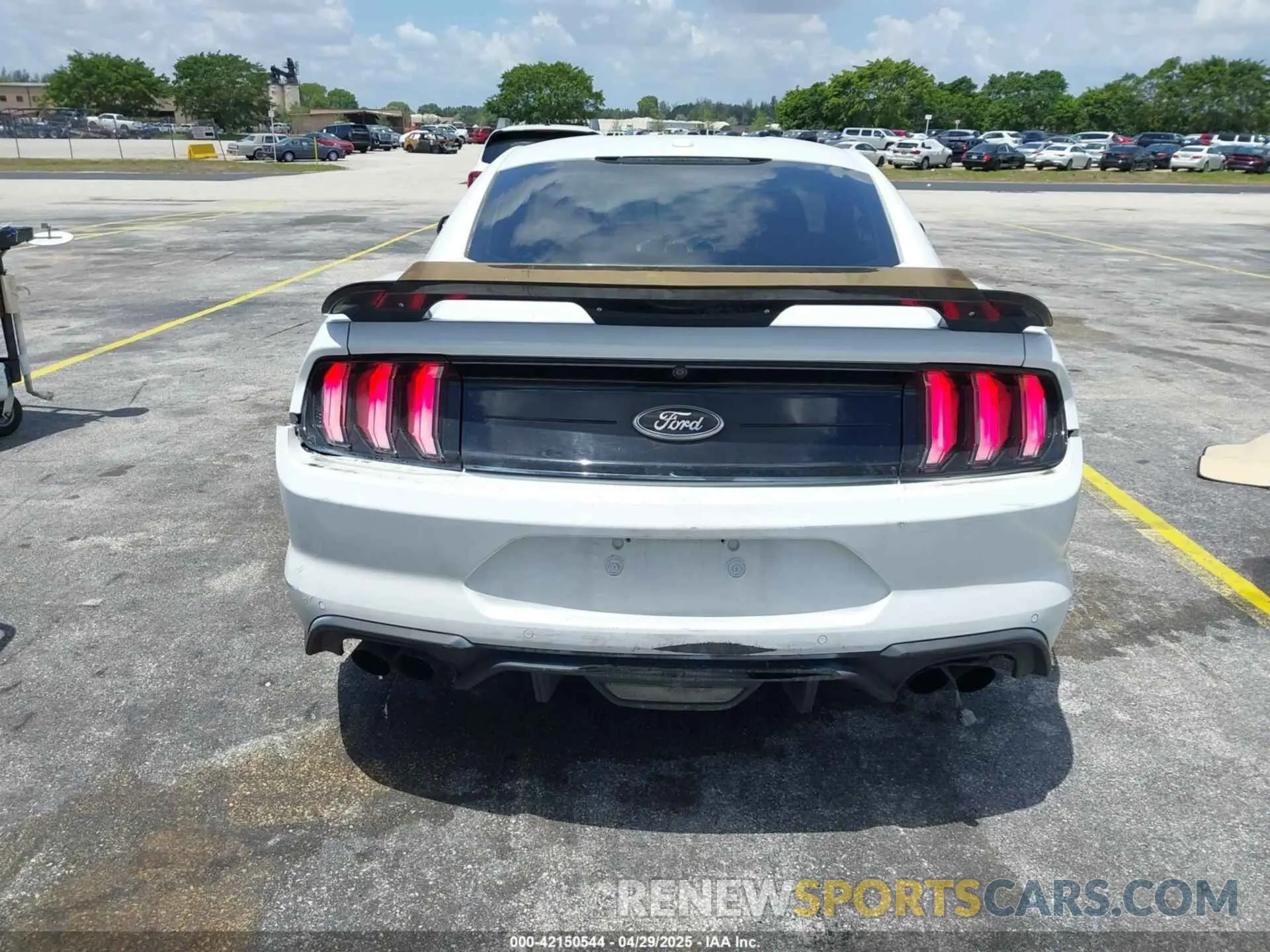 16 Фотография поврежденного автомобиля 1FA6P8CF6K5121986 FORD MUSTANG 2019