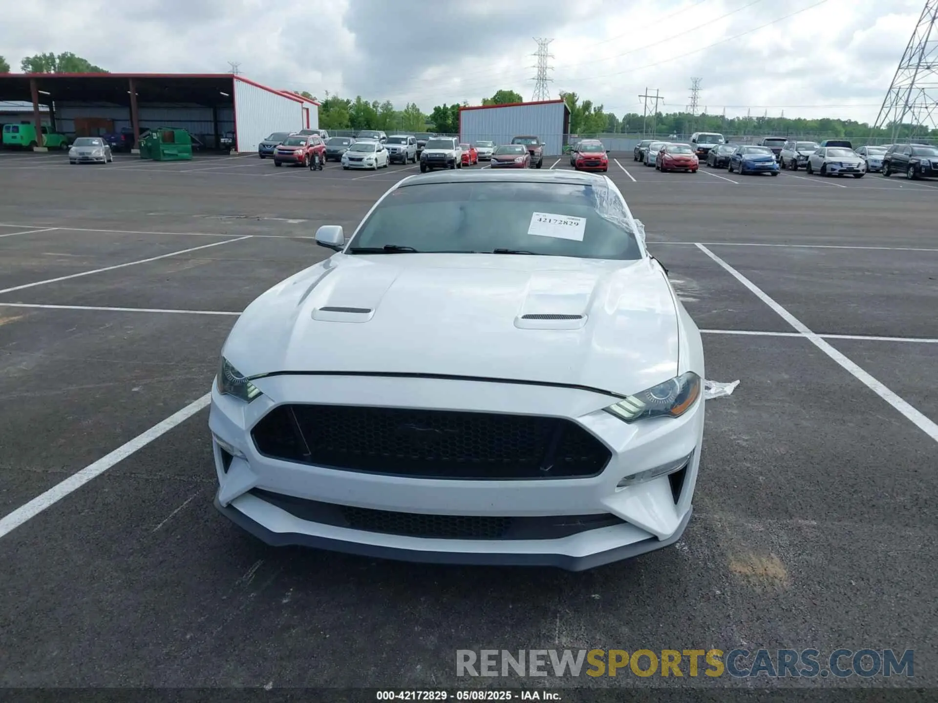 12 Photograph of a damaged car 1FA6P8CF6K5173649 FORD MUSTANG 2019