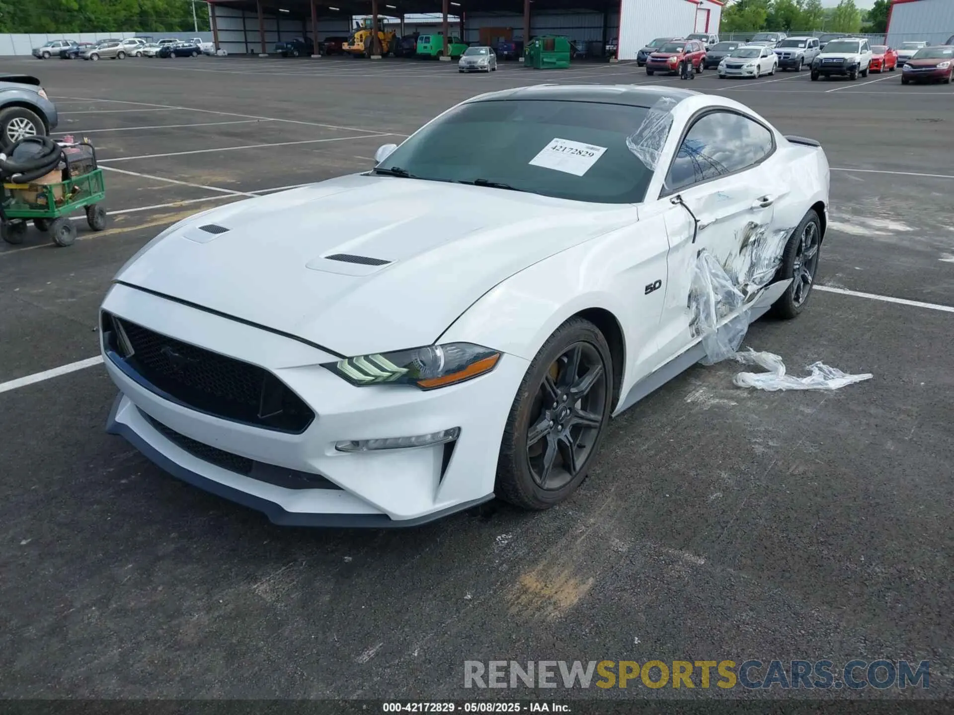 2 Photograph of a damaged car 1FA6P8CF6K5173649 FORD MUSTANG 2019