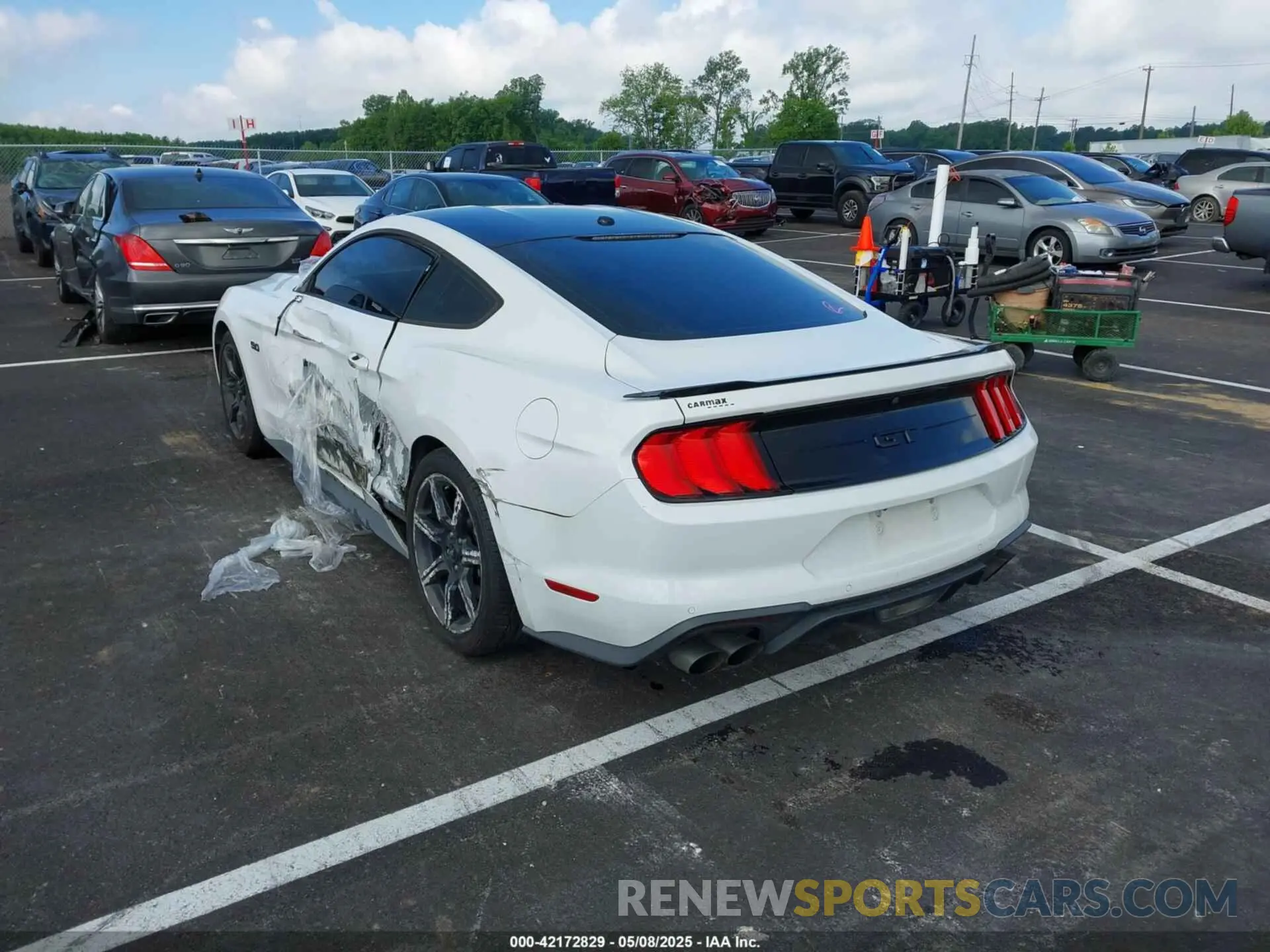 3 Photograph of a damaged car 1FA6P8CF6K5173649 FORD MUSTANG 2019