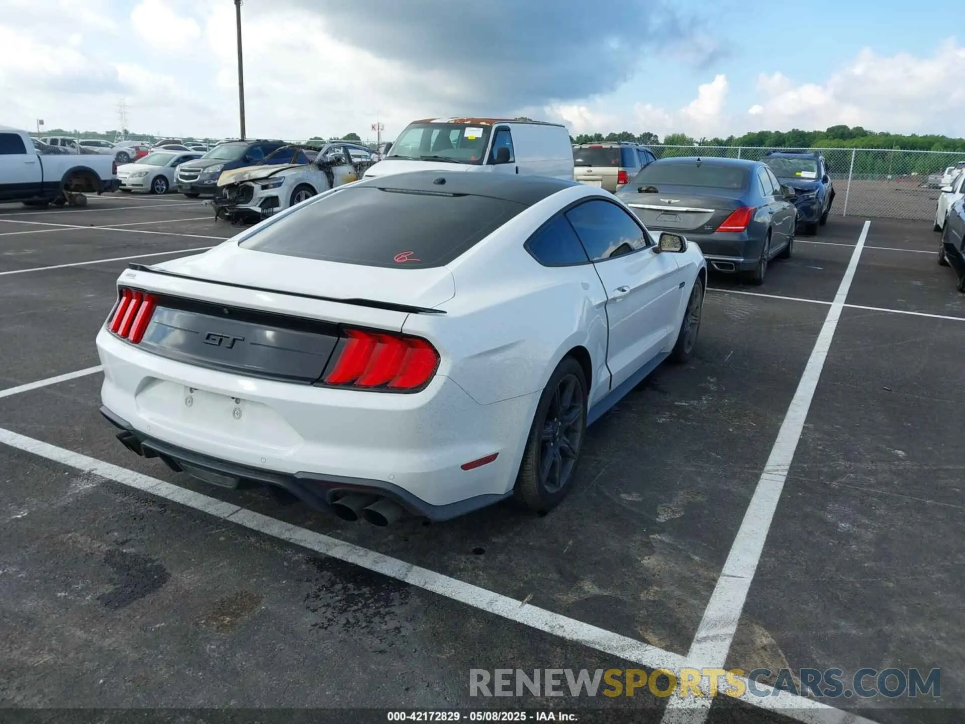 4 Photograph of a damaged car 1FA6P8CF6K5173649 FORD MUSTANG 2019