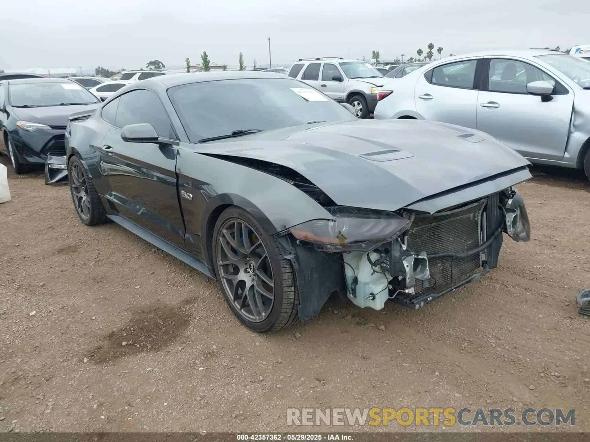 1 Фотография поврежденного автомобиля 1FA6P8CF6K5203099 FORD MUSTANG 2019