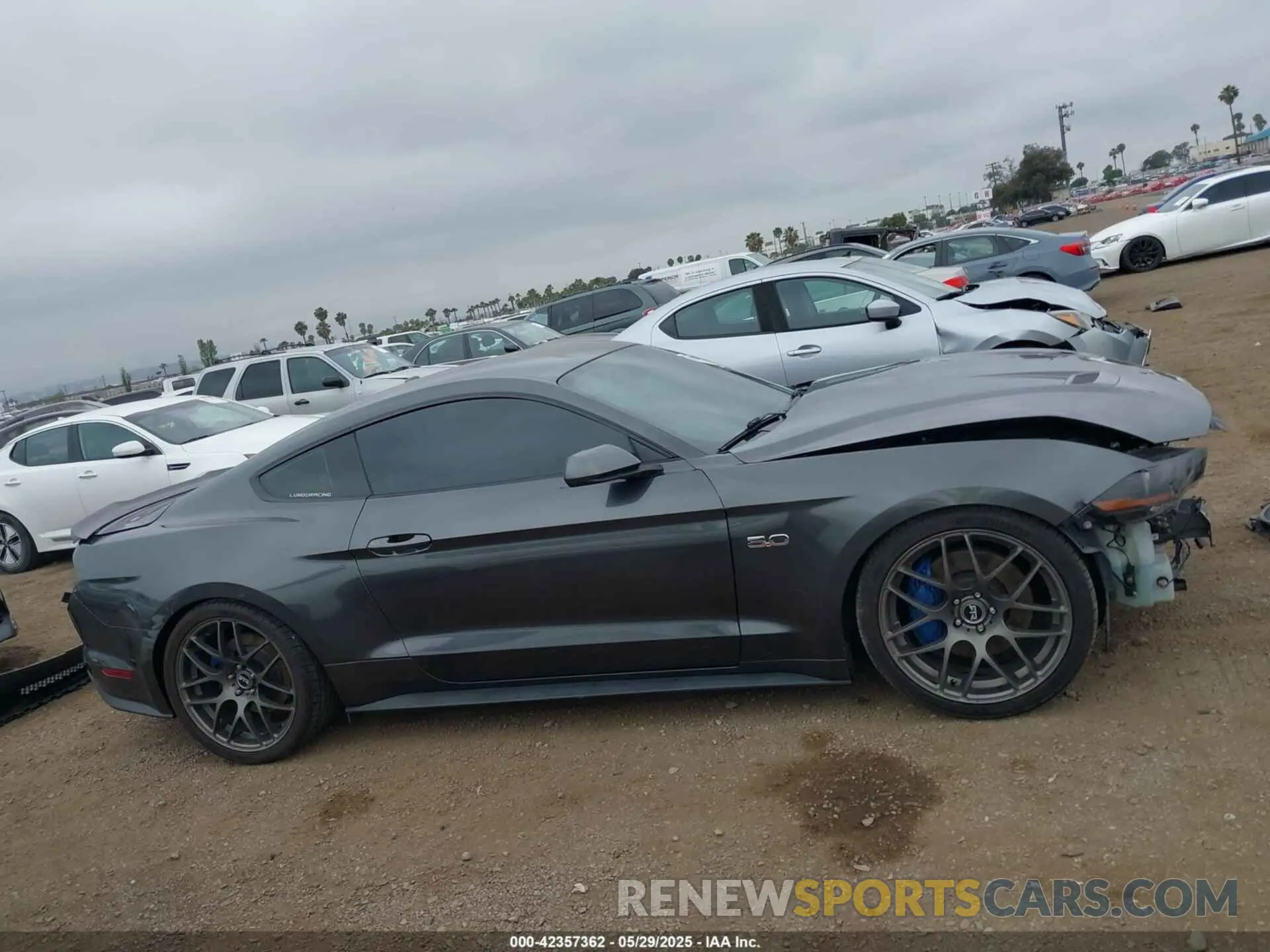 14 Фотография поврежденного автомобиля 1FA6P8CF6K5203099 FORD MUSTANG 2019