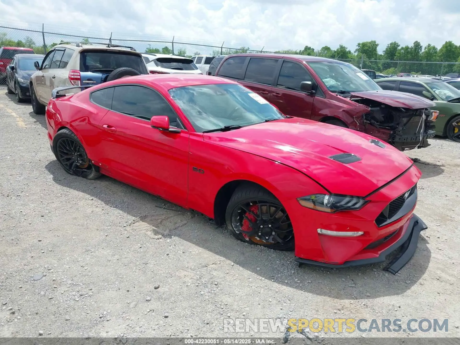 1 Photograph of a damaged car 1FA6P8CF7K5124590 FORD MUSTANG 2019