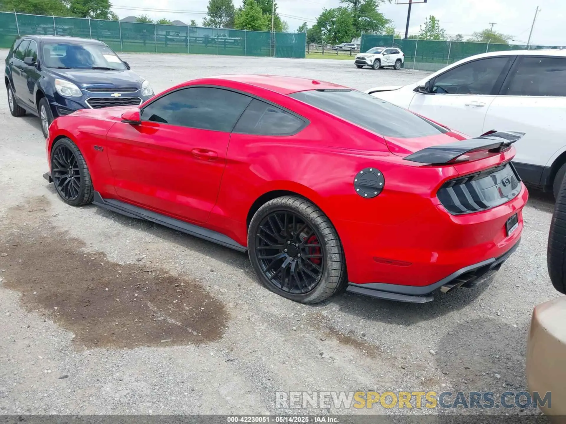 3 Photograph of a damaged car 1FA6P8CF7K5124590 FORD MUSTANG 2019