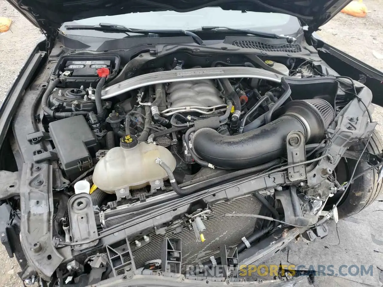 11 Фотография поврежденного автомобиля 1FA6P8CF7K5200700 FORD MUSTANG 2019