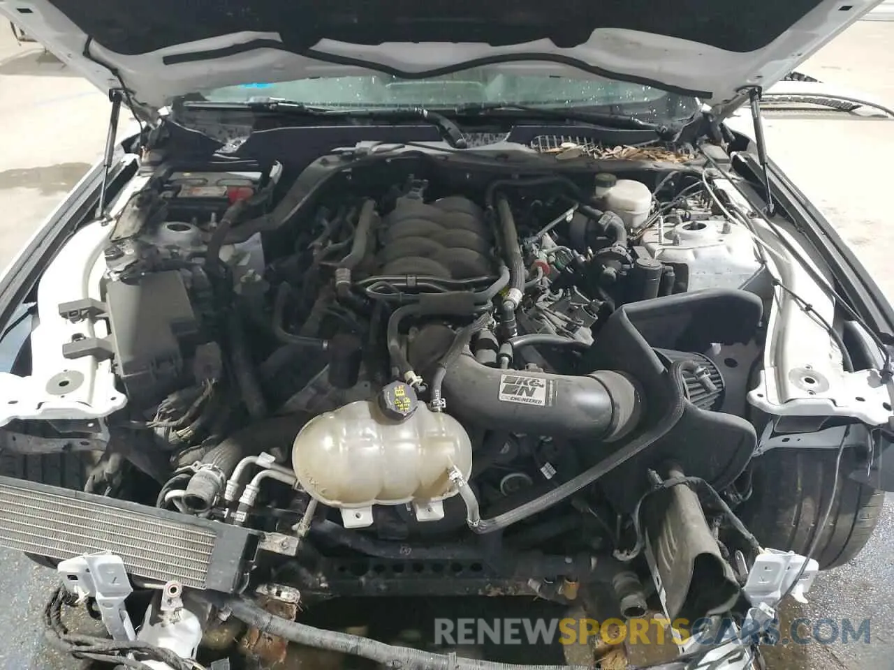 11 Photograph of a damaged car 1FA6P8CF8K5124582 FORD MUSTANG 2019