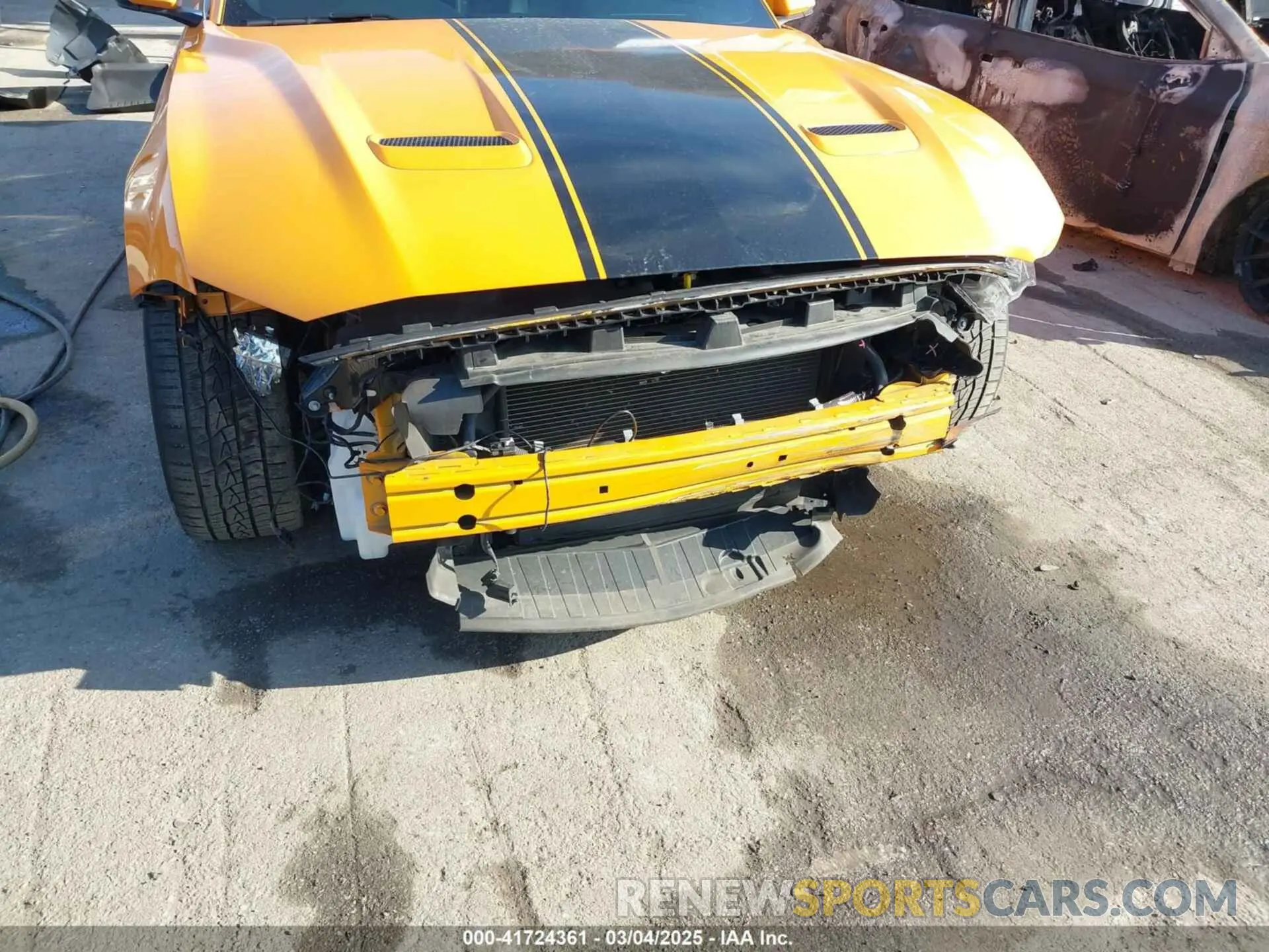 6 Photograph of a damaged car 1FA6P8CF8K5158005 FORD MUSTANG 2019