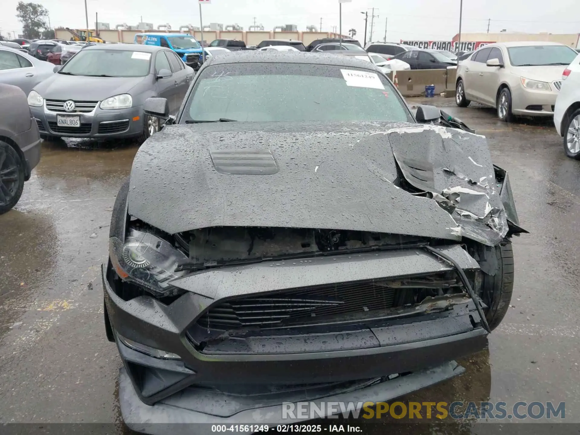 12 Photograph of a damaged car 1FA6P8CF9K5106575 FORD MUSTANG 2019