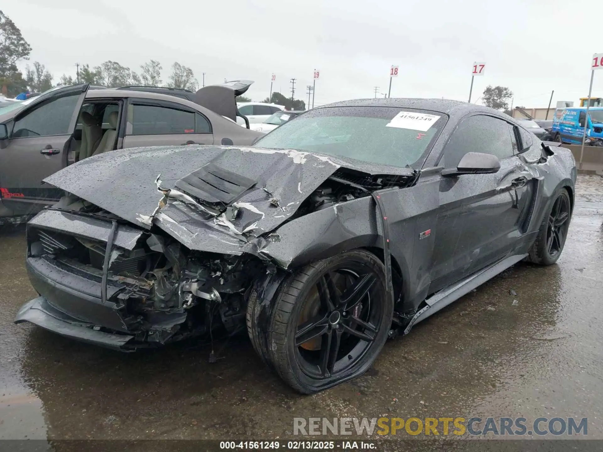 2 Photograph of a damaged car 1FA6P8CF9K5106575 FORD MUSTANG 2019