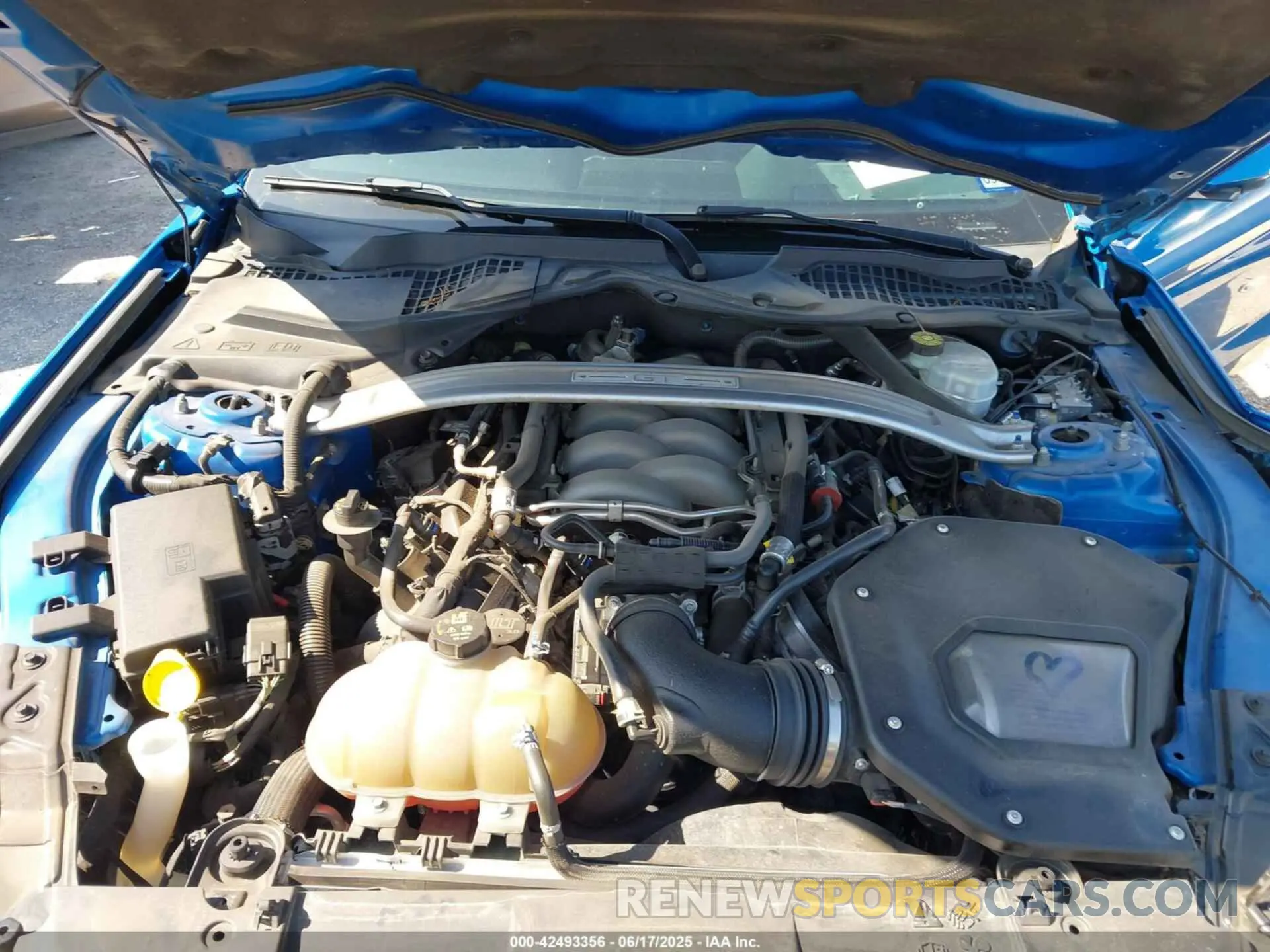 10 Photograph of a damaged car 1FA6P8CF9K5114756 FORD MUSTANG 2019