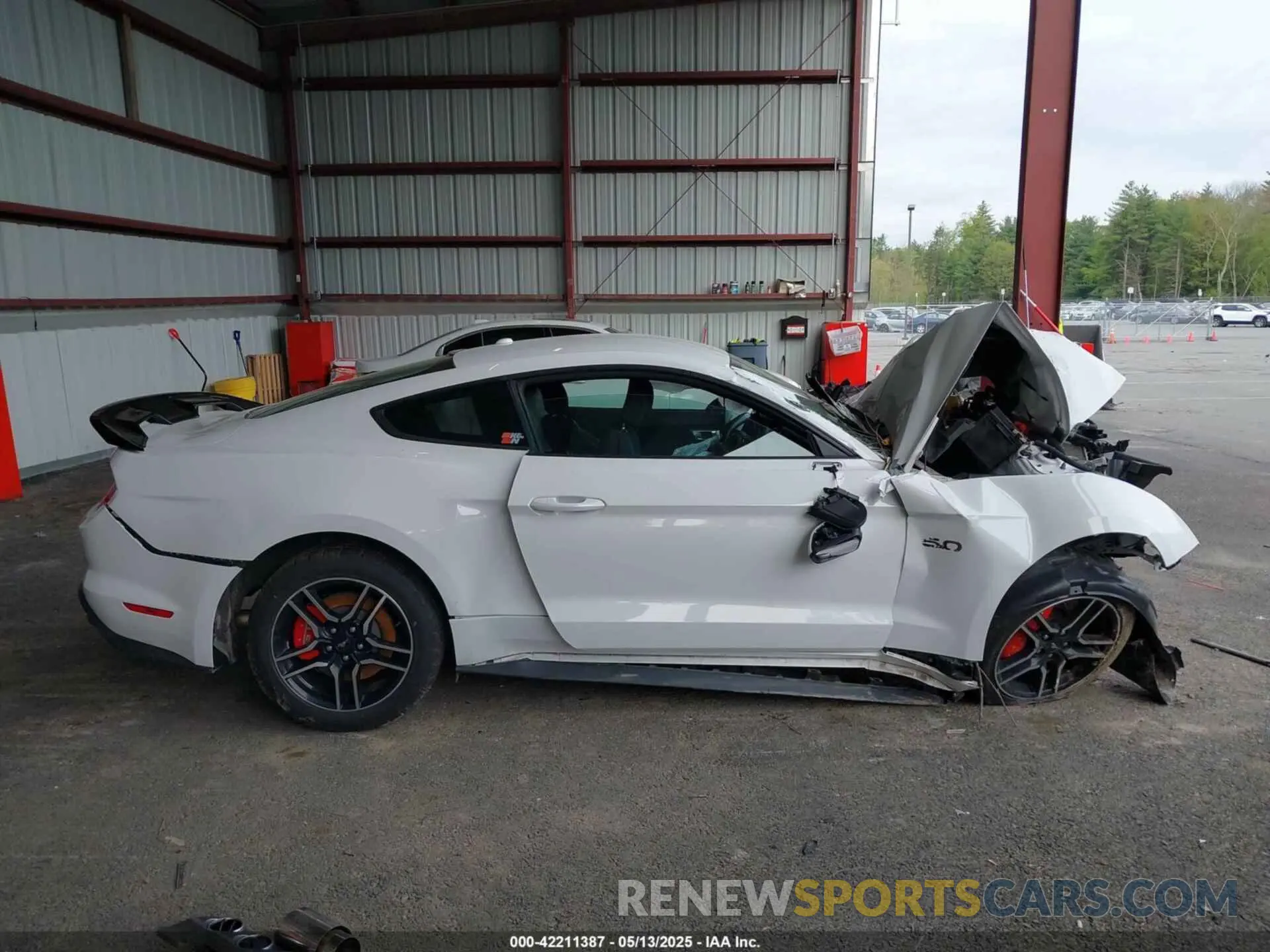 13 Photograph of a damaged car 1FA6P8CFXK5194374 FORD MUSTANG 2019