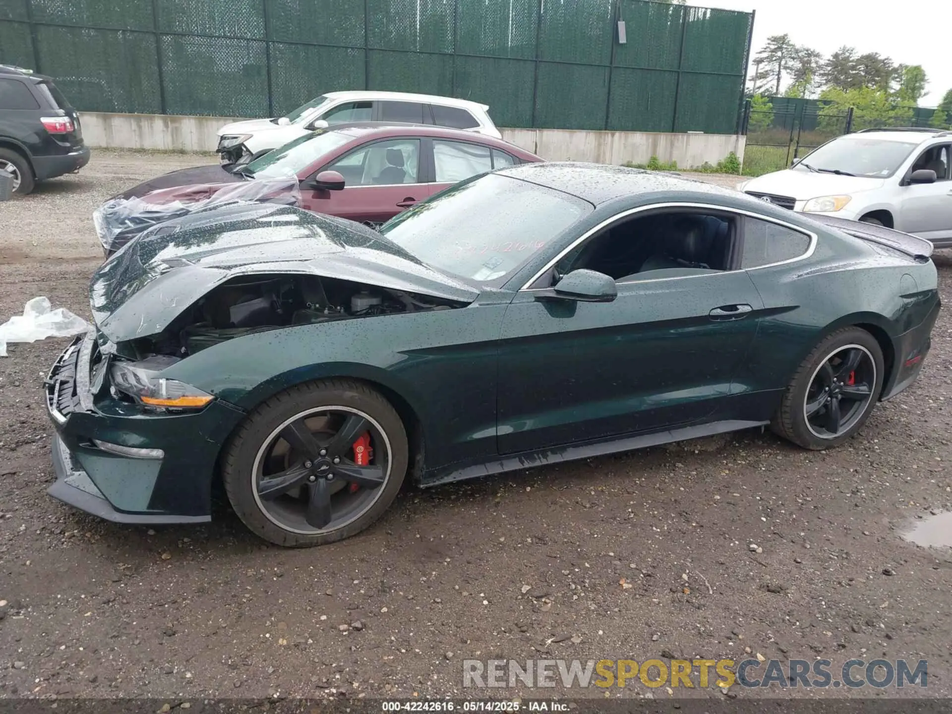 14 Photograph of a damaged car 1FA6P8K02K5500707 FORD MUSTANG 2019