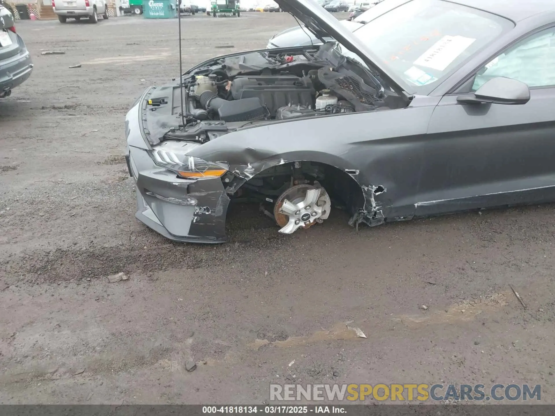 6 Photograph of a damaged car 1FA6P8TH0K5141149 FORD MUSTANG 2019