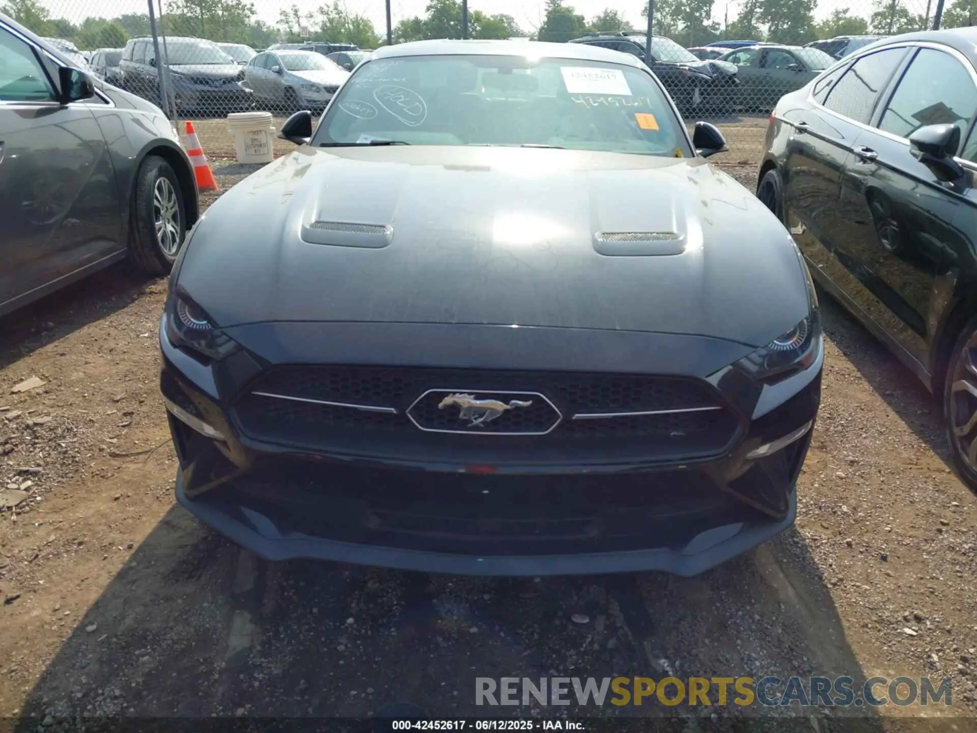 11 Photograph of a damaged car 1FA6P8TH0K5163443 FORD MUSTANG 2019