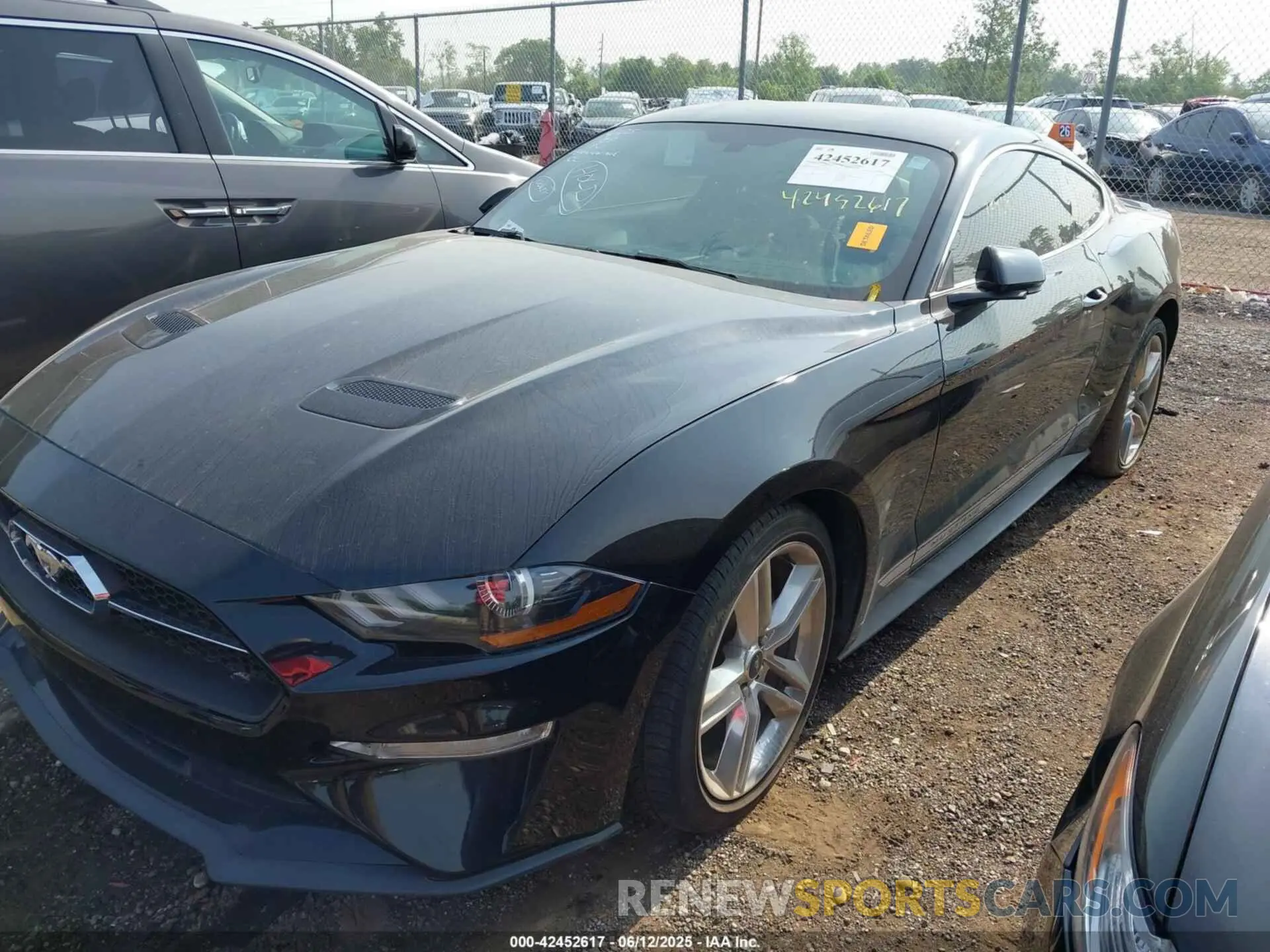 2 Photograph of a damaged car 1FA6P8TH0K5163443 FORD MUSTANG 2019