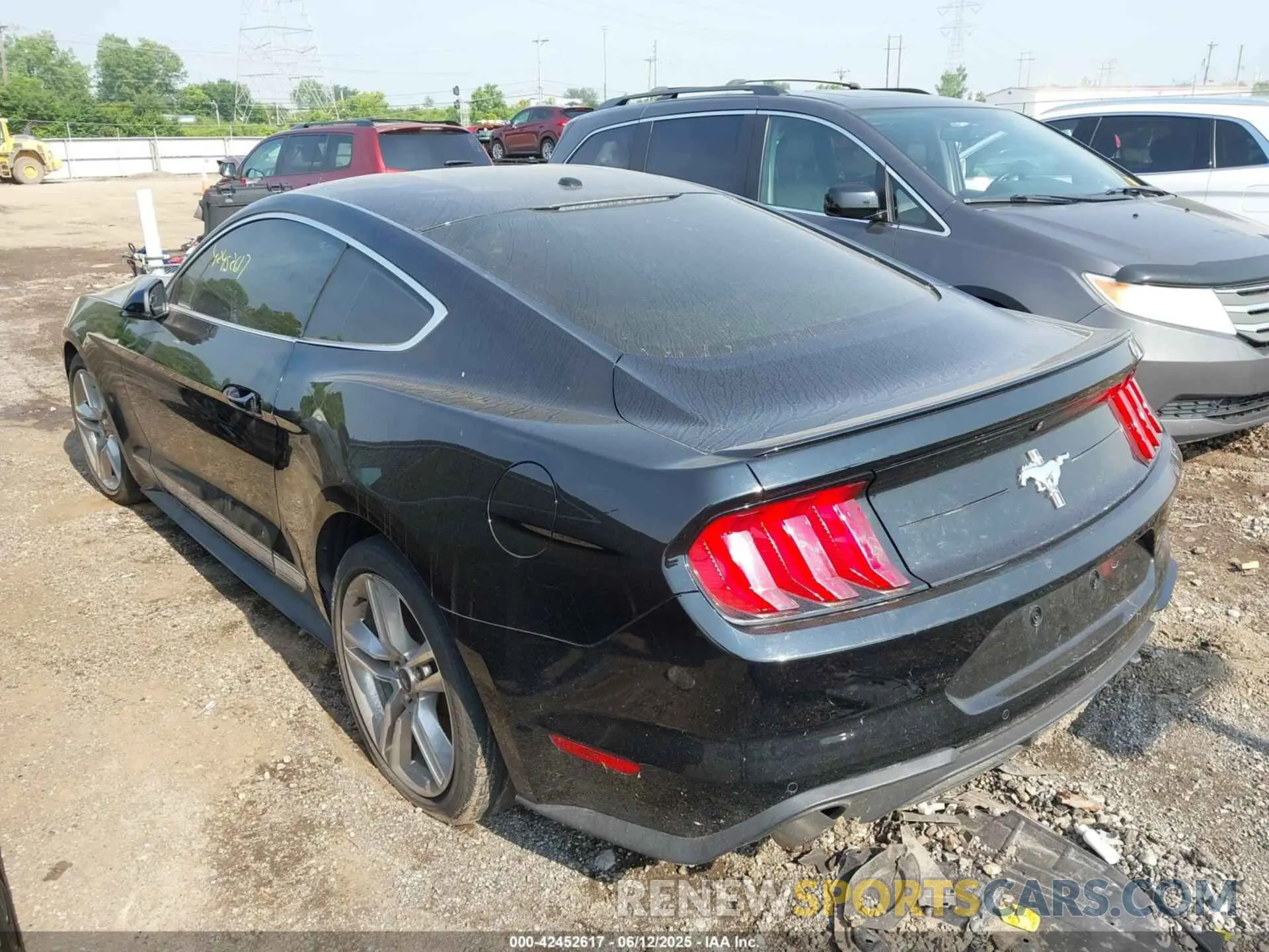 3 Photograph of a damaged car 1FA6P8TH0K5163443 FORD MUSTANG 2019