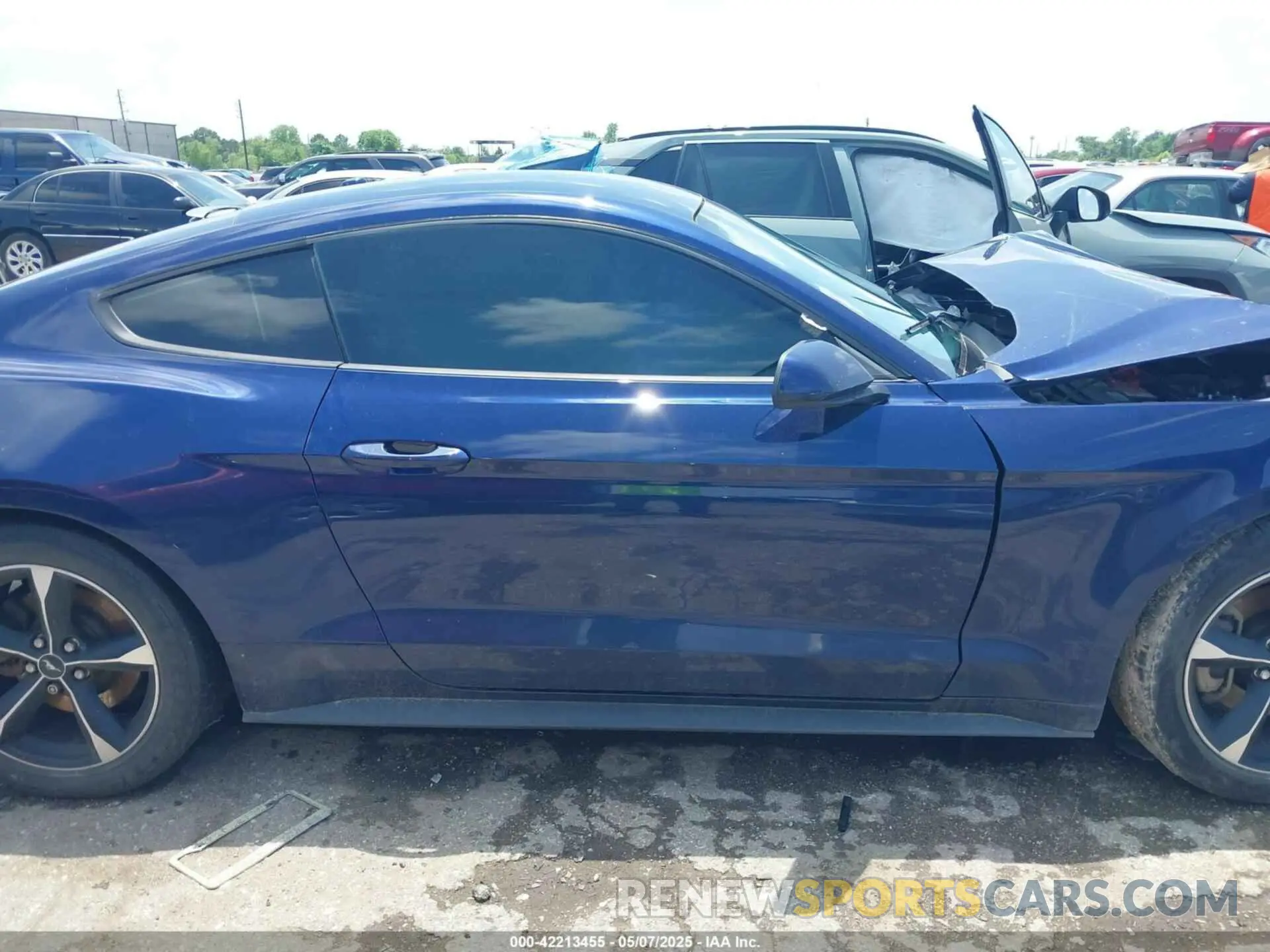 13 Photograph of a damaged car 1FA6P8TH0K5174930 FORD MUSTANG 2019