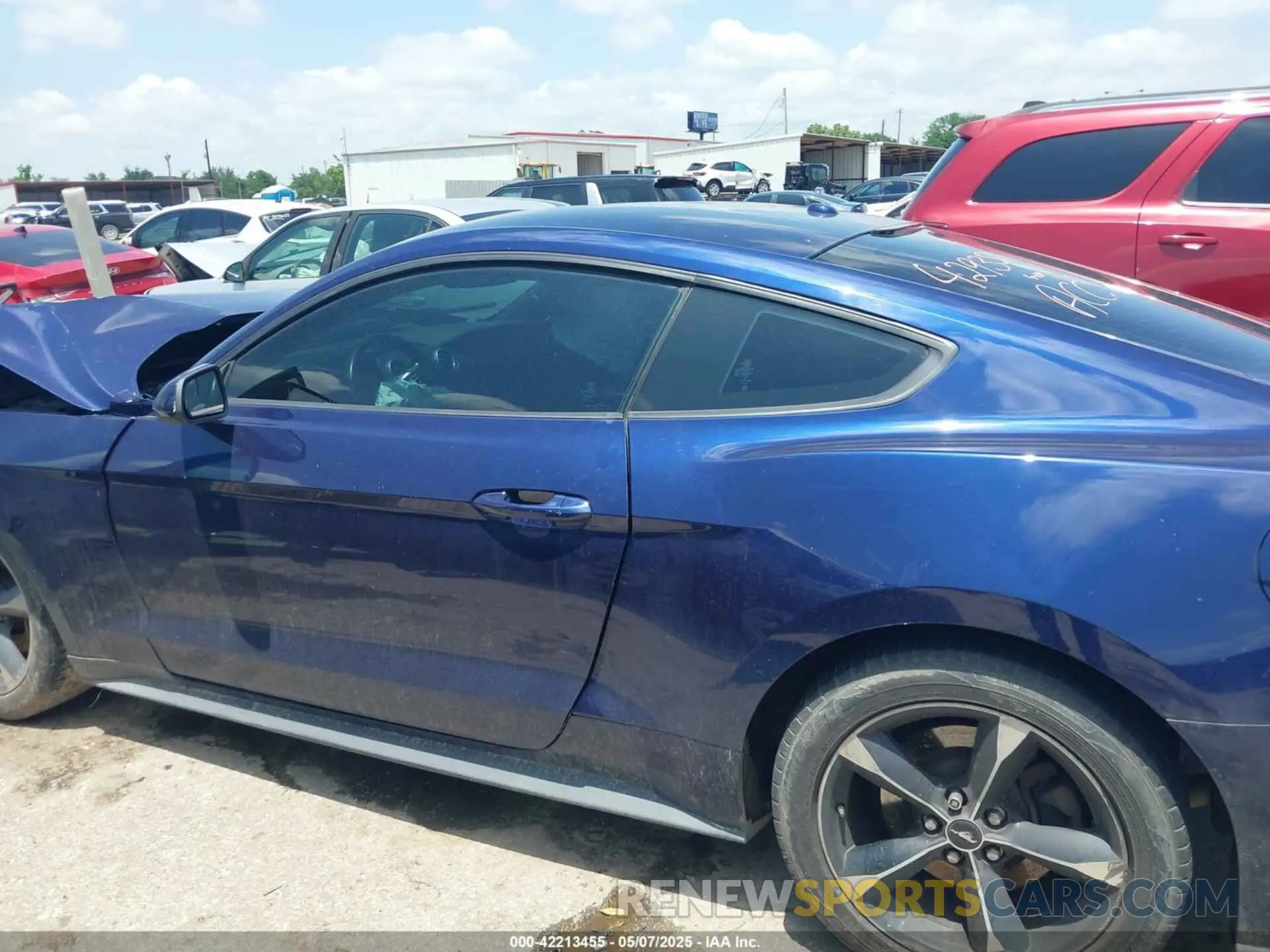 14 Photograph of a damaged car 1FA6P8TH0K5174930 FORD MUSTANG 2019