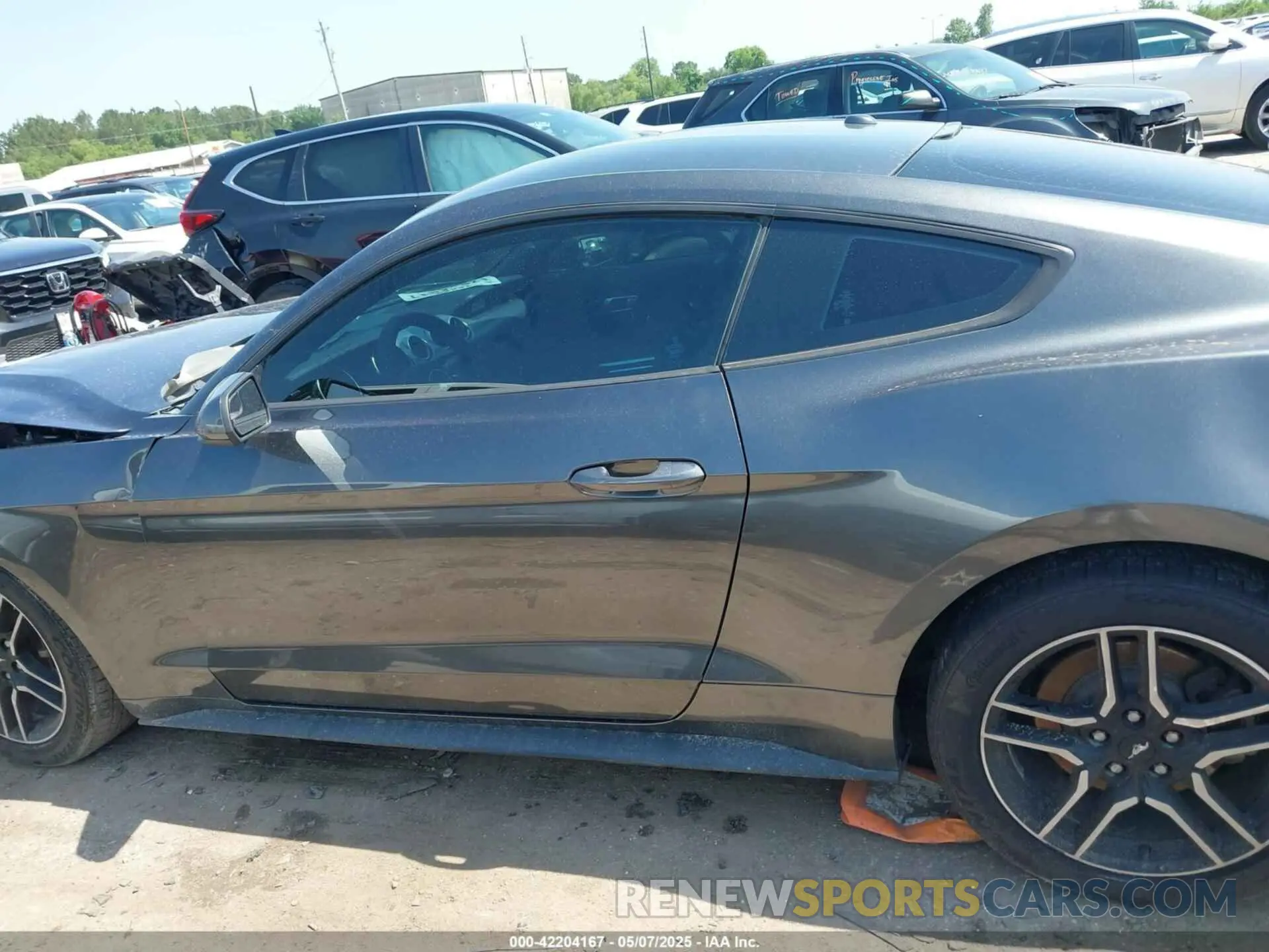 13 Фотография поврежденного автомобиля 1FA6P8TH1K5118026 FORD MUSTANG 2019