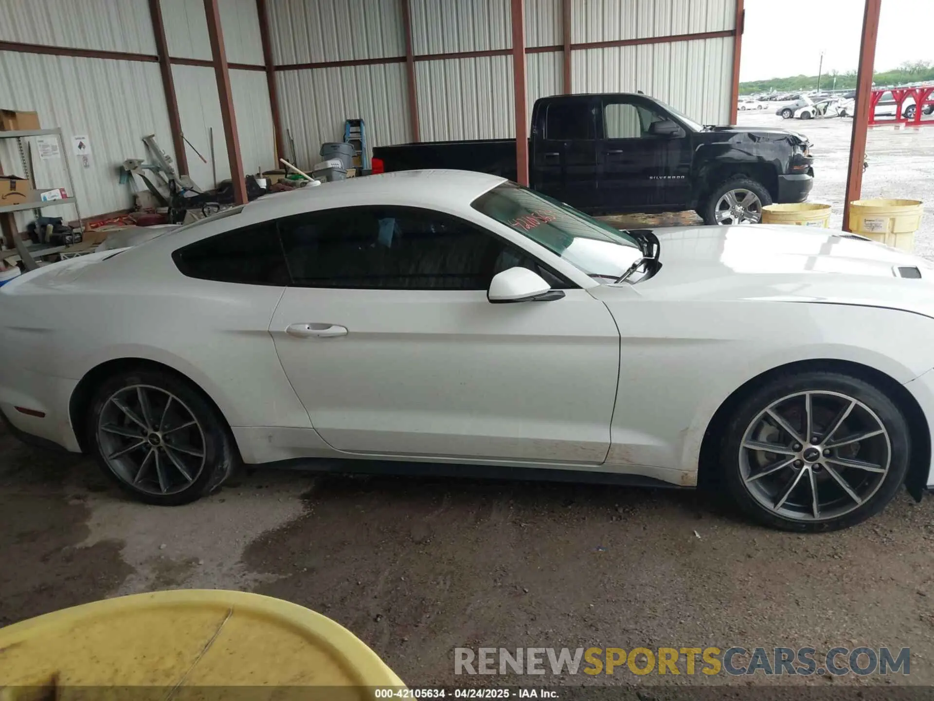 13 Фотография поврежденного автомобиля 1FA6P8TH1K5168795 FORD MUSTANG 2019